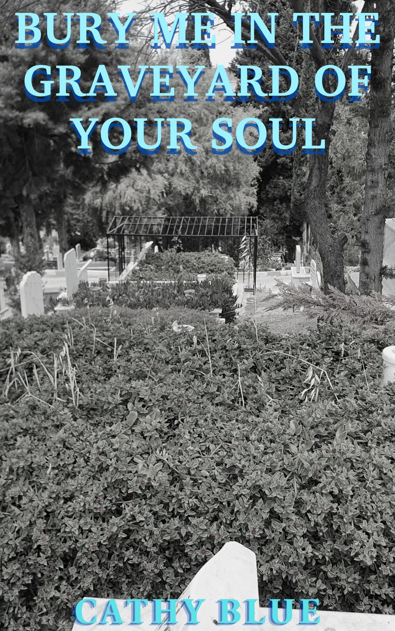 BURY ME IN THE GRAVEYARD OF YOUR SOUL