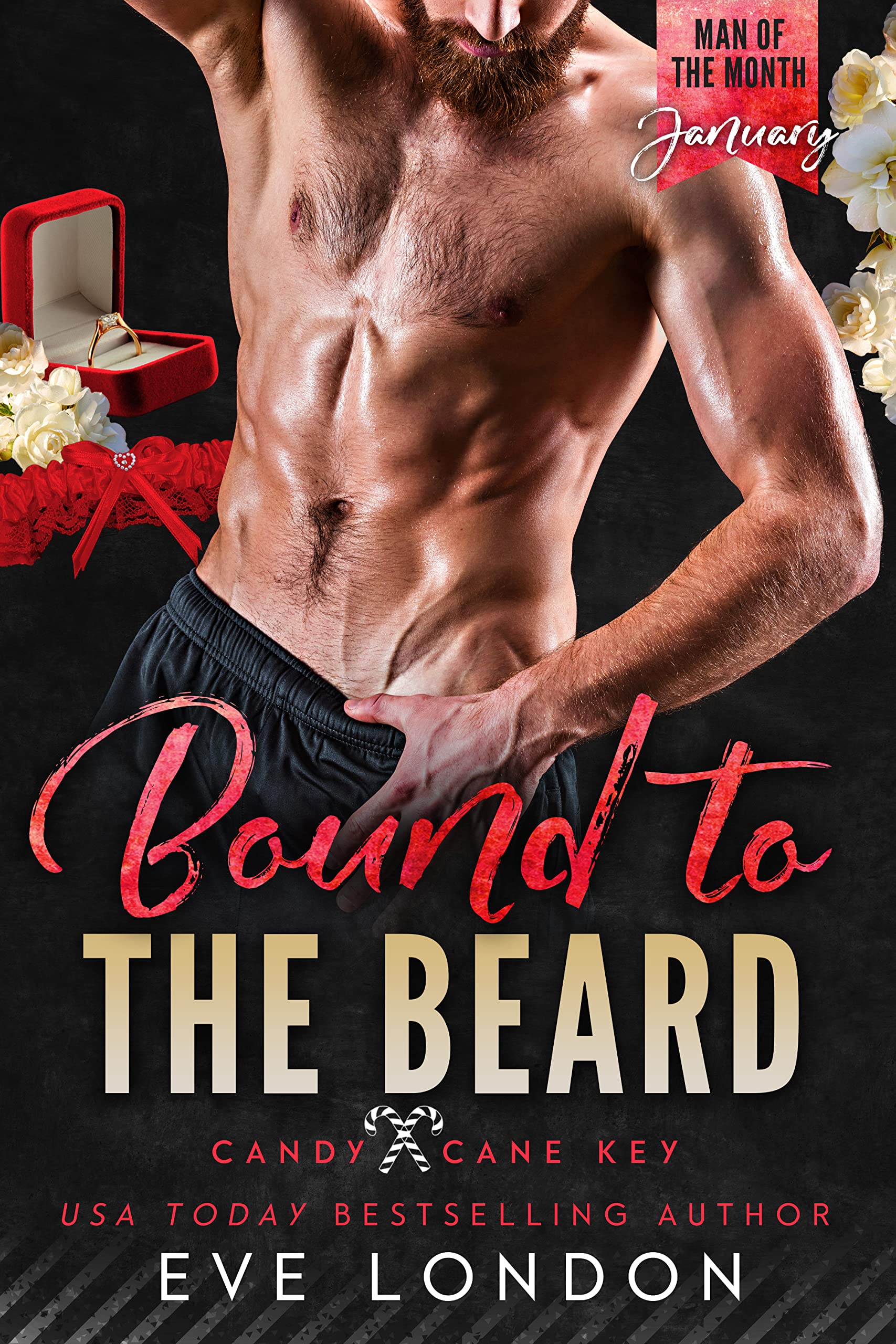 Candy Cane Key book cover 2