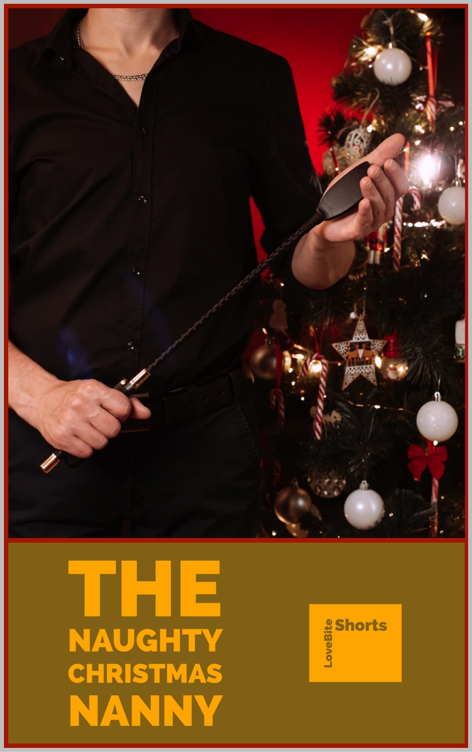 The Naughty Christmas Nanny book cover