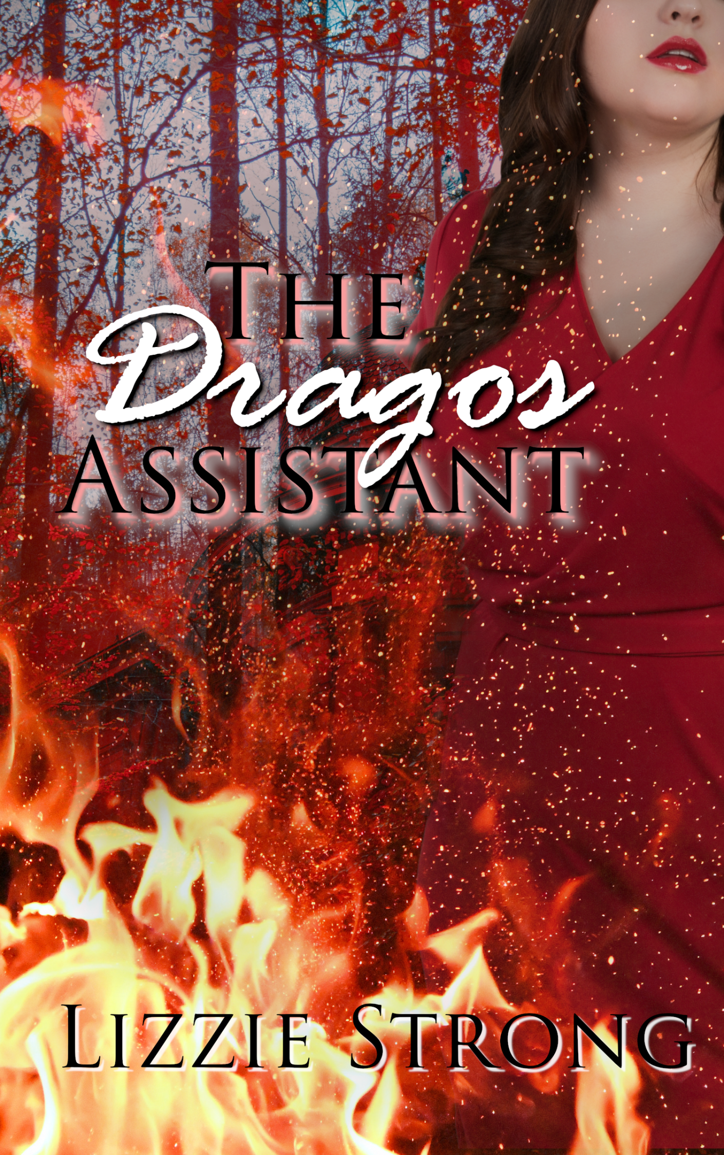 The Dragos Assistant book cover