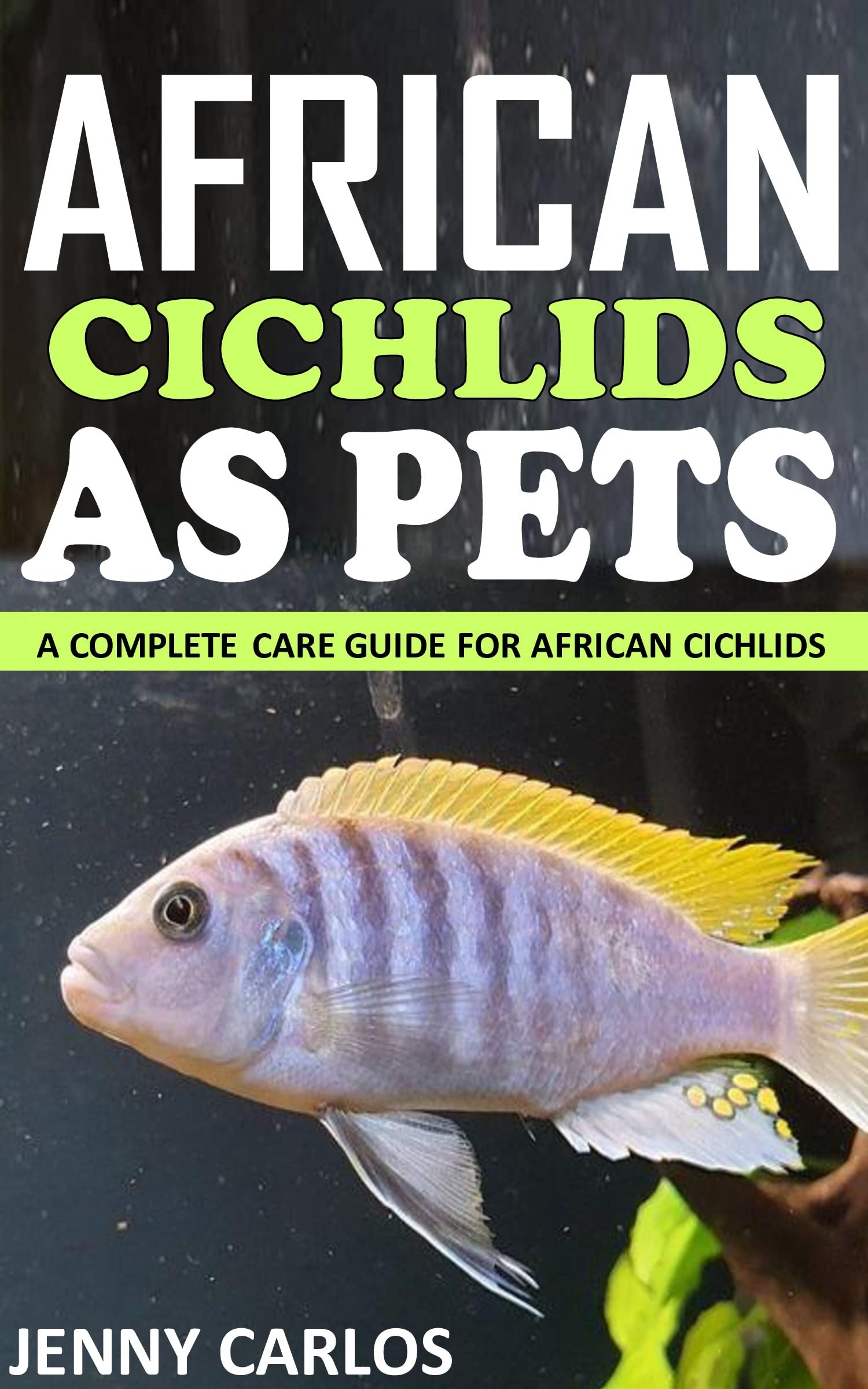AFRICAN CICHLIDS AS PET A COMPLETE CARE GUIDE FOR AFRICAN CICHLIDS by