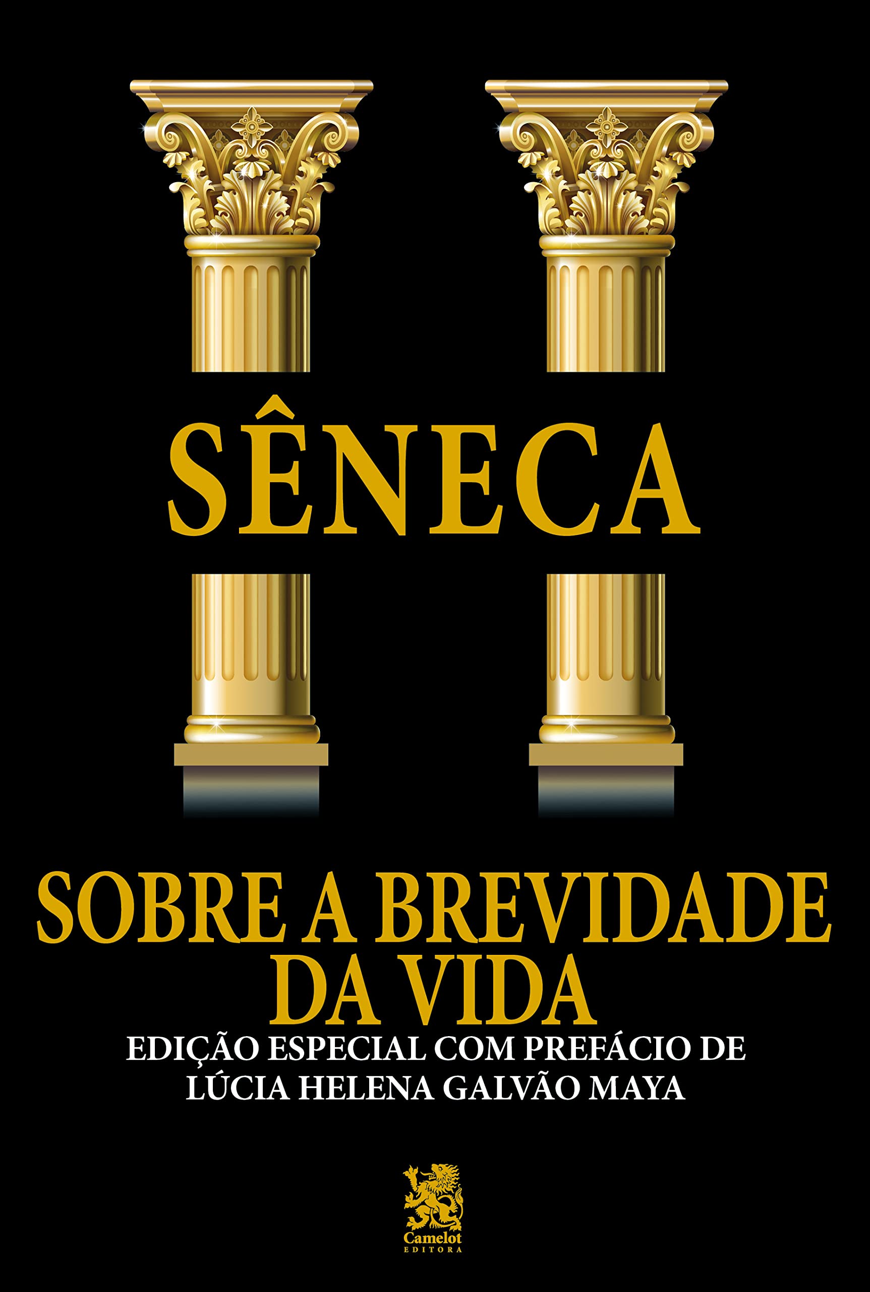 Sobre a Brevidade da Vida: Edição especial com prefácio de Lúcia Helena Galvão Maya