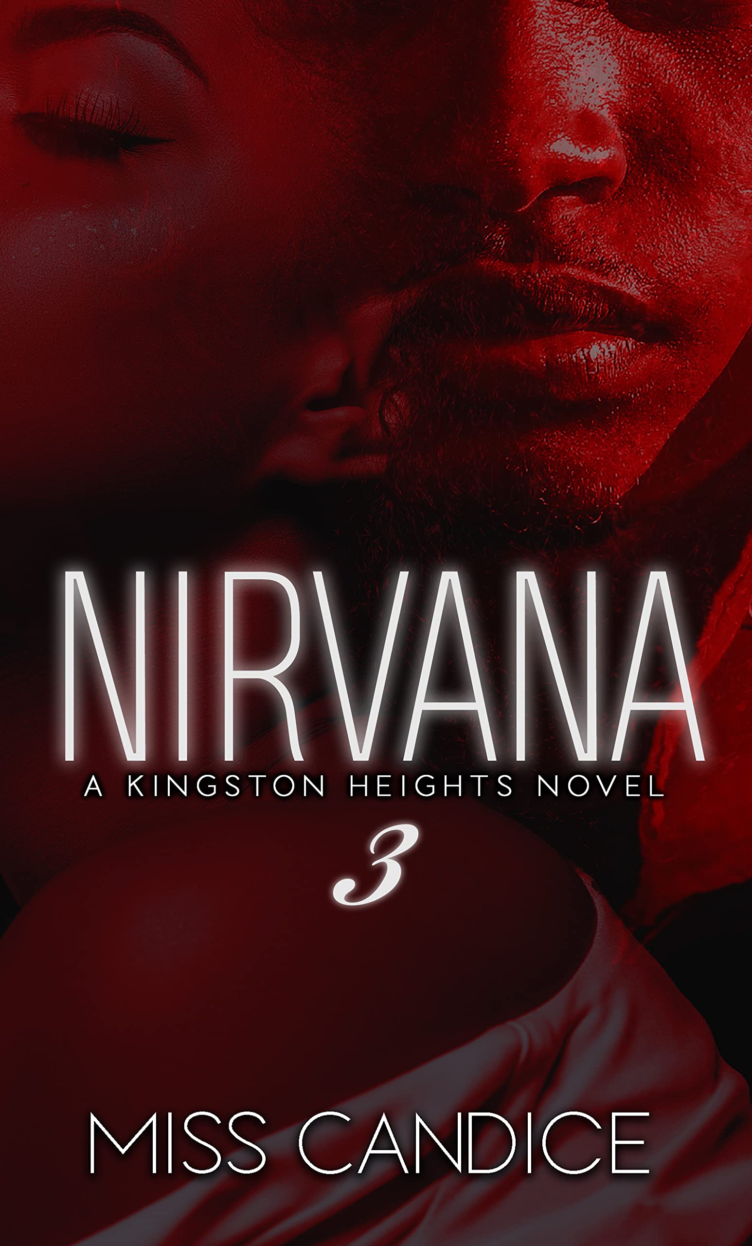 Nirvana 3 book cover