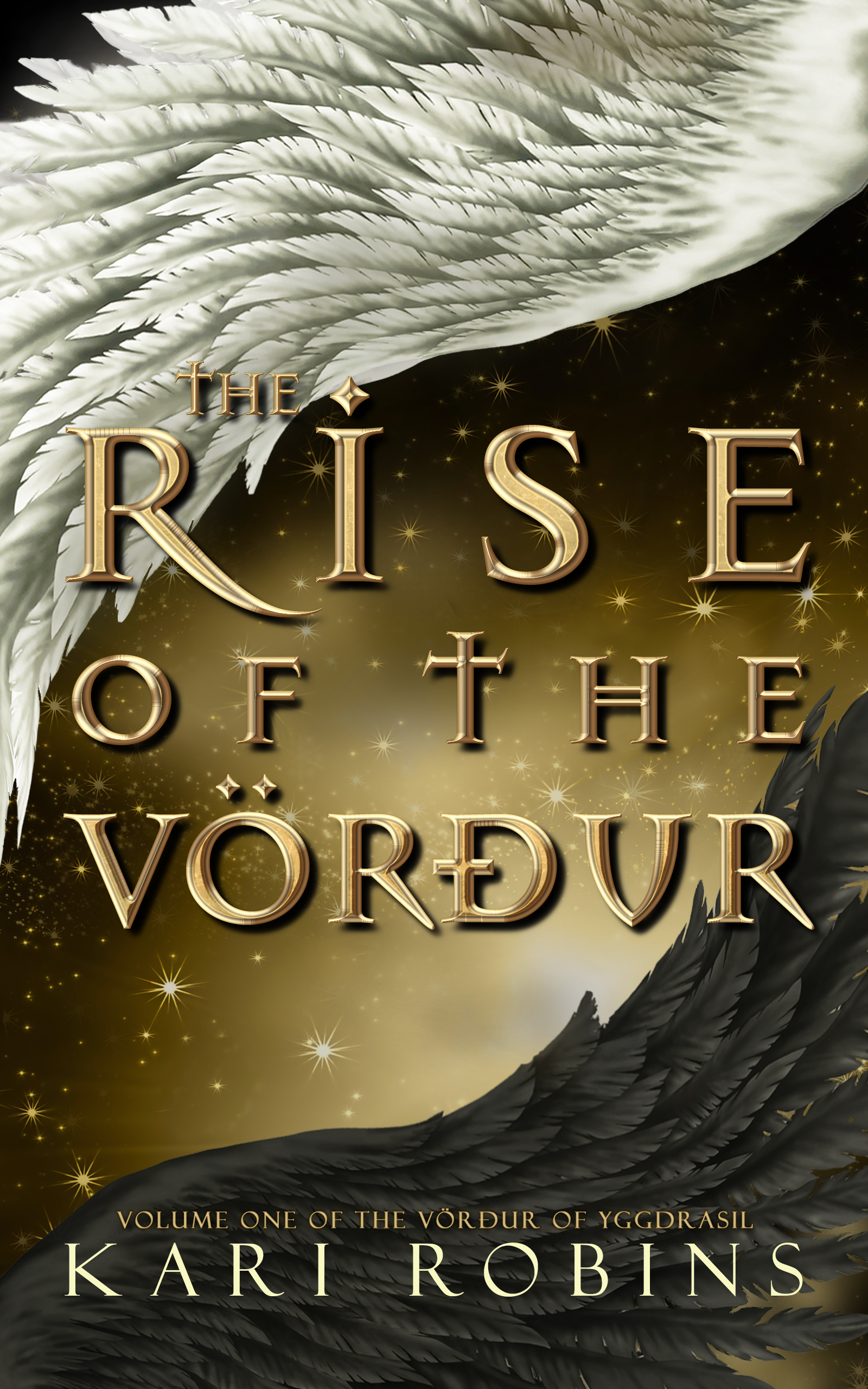 The Rise of the Vörður by Kari Robins | Goodreads