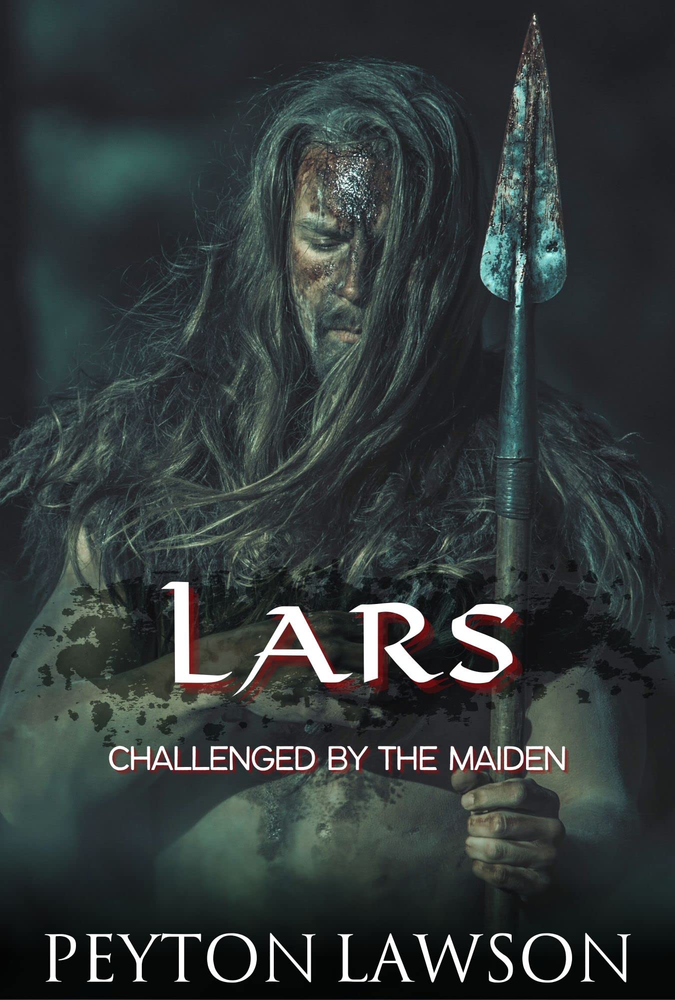 The Viking Settlers book cover 2