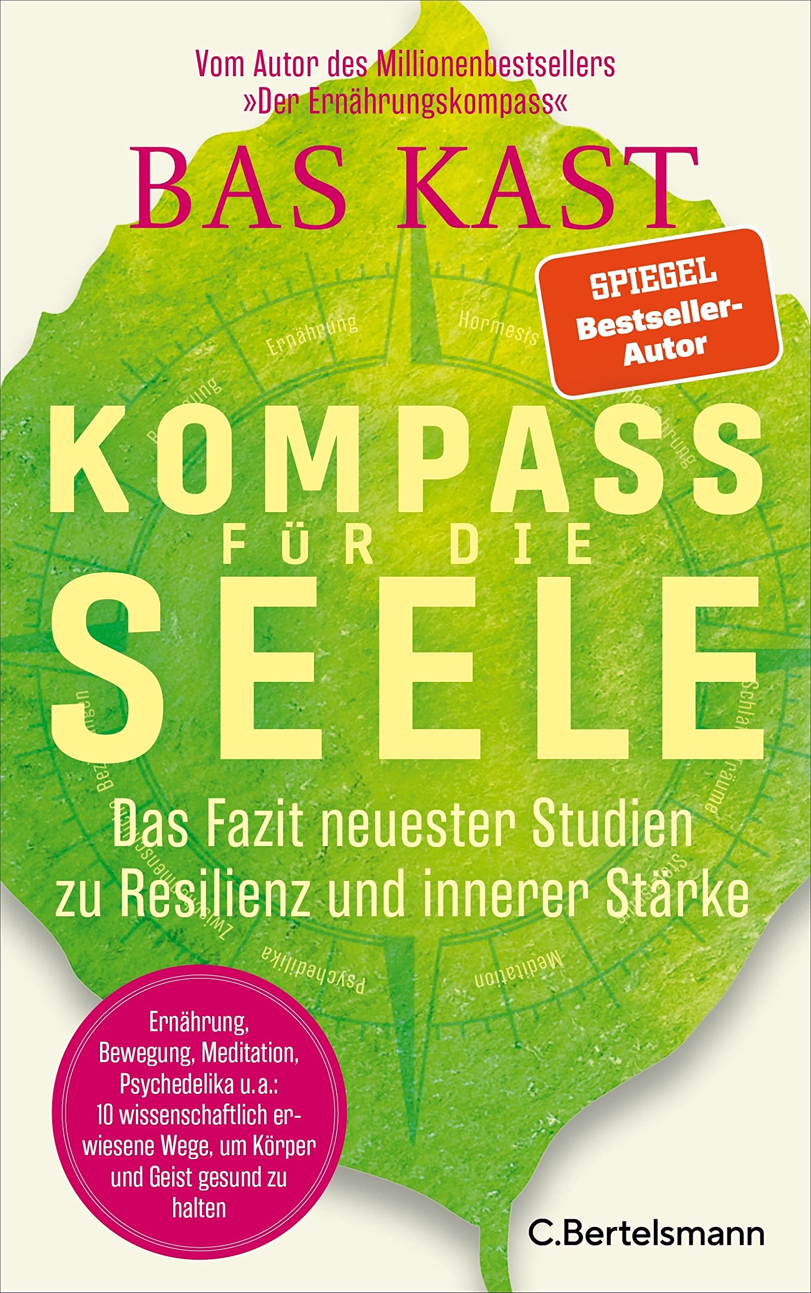 Kompass für die Seele: Das Fazit neuester Studien zu Resilienz und innerer Stärke
