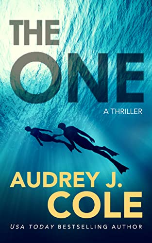 The One book cover
