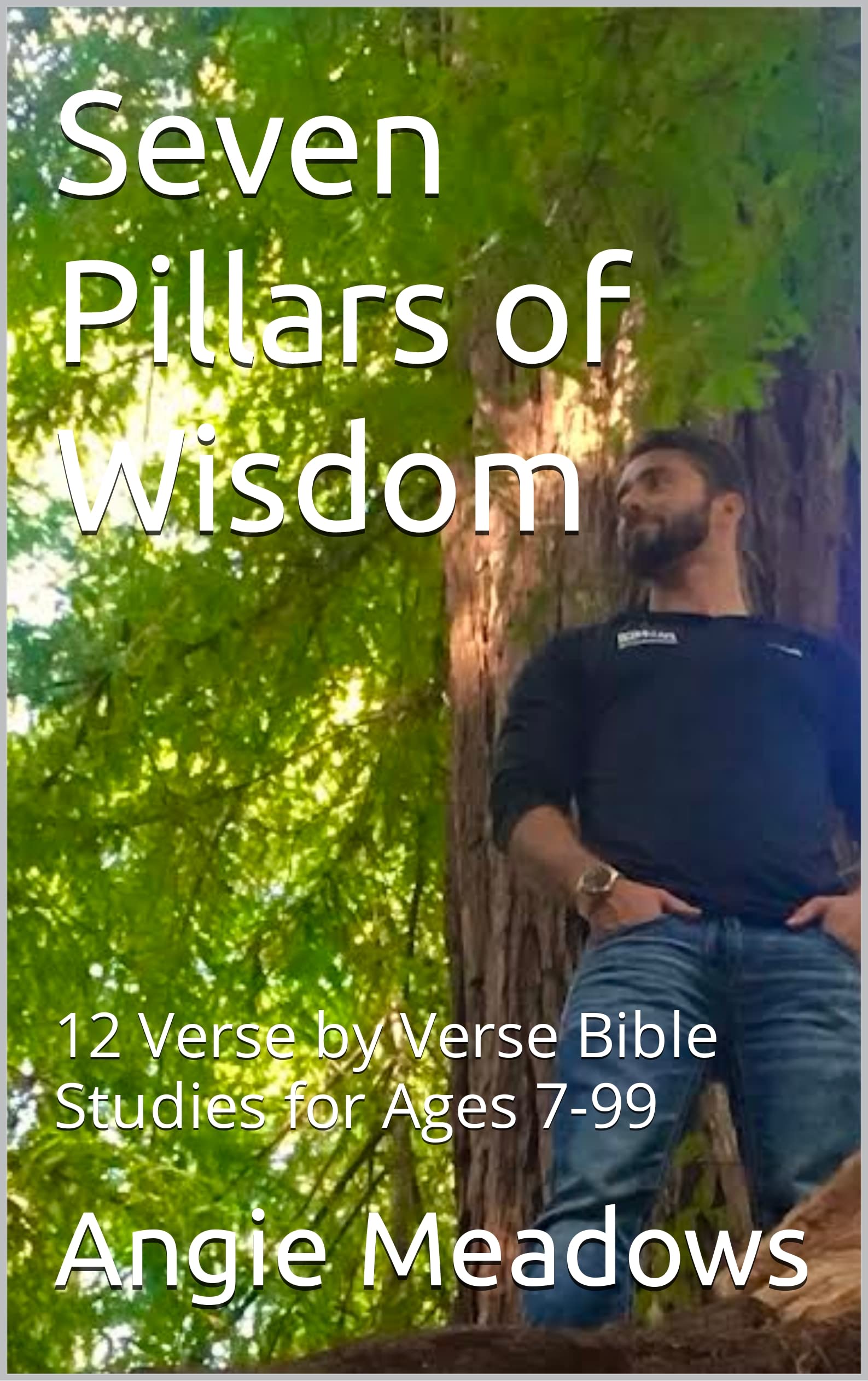 Seven Pillars of Wisdom 12 Verse by Verse Bible Studies for Ages 799