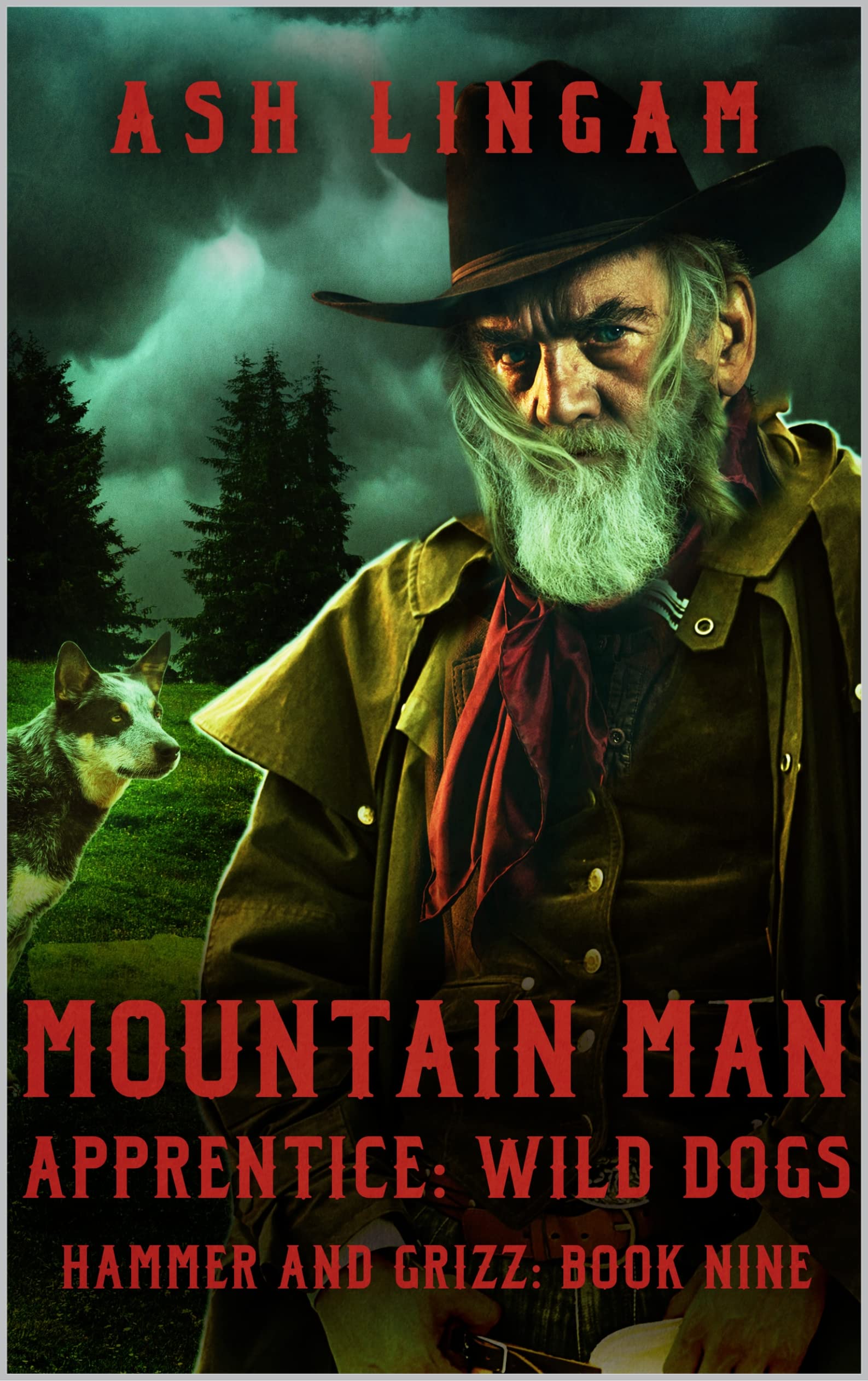 Mountain Man Apprentice book cover