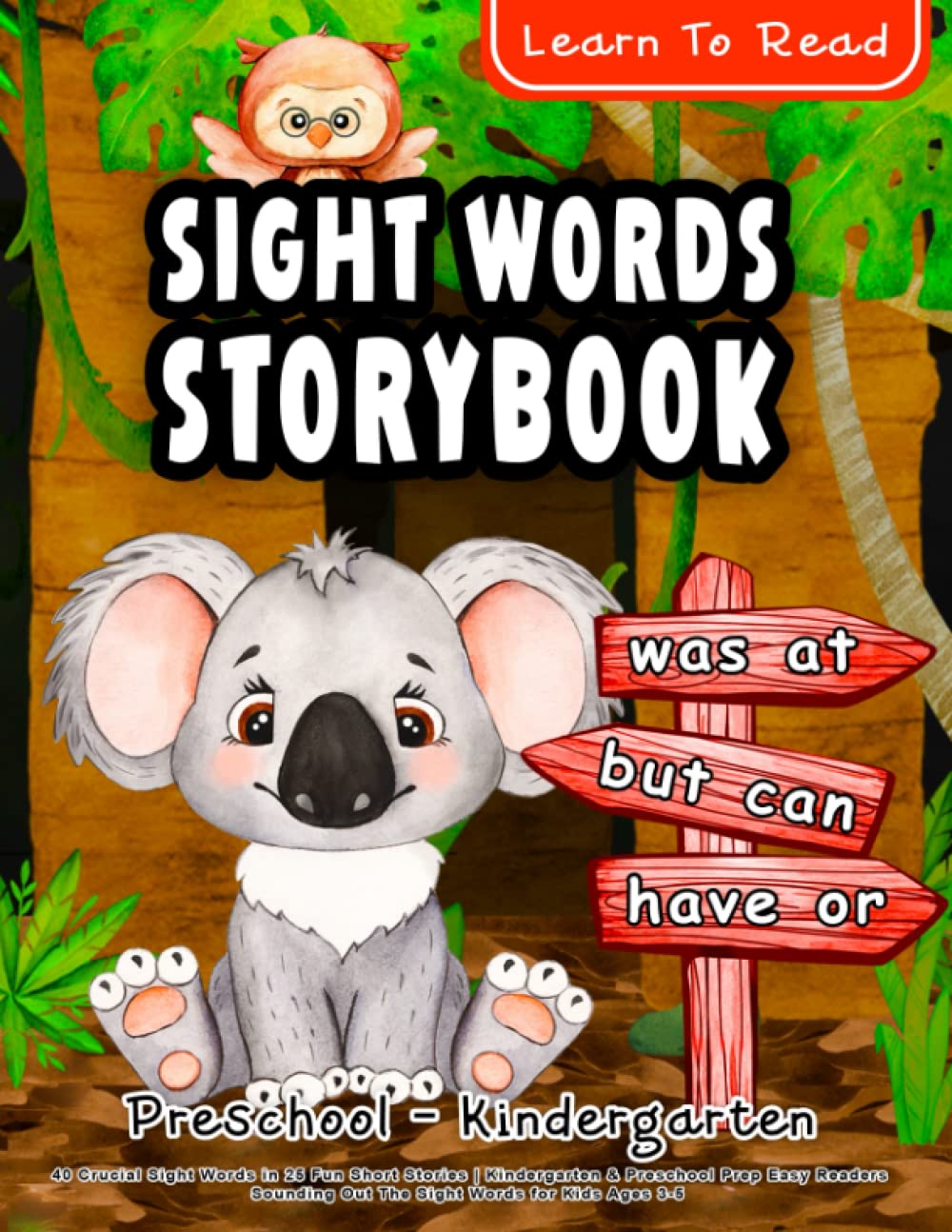 Learn to Read Sight Words Storybook Preschool Kindergarten 40