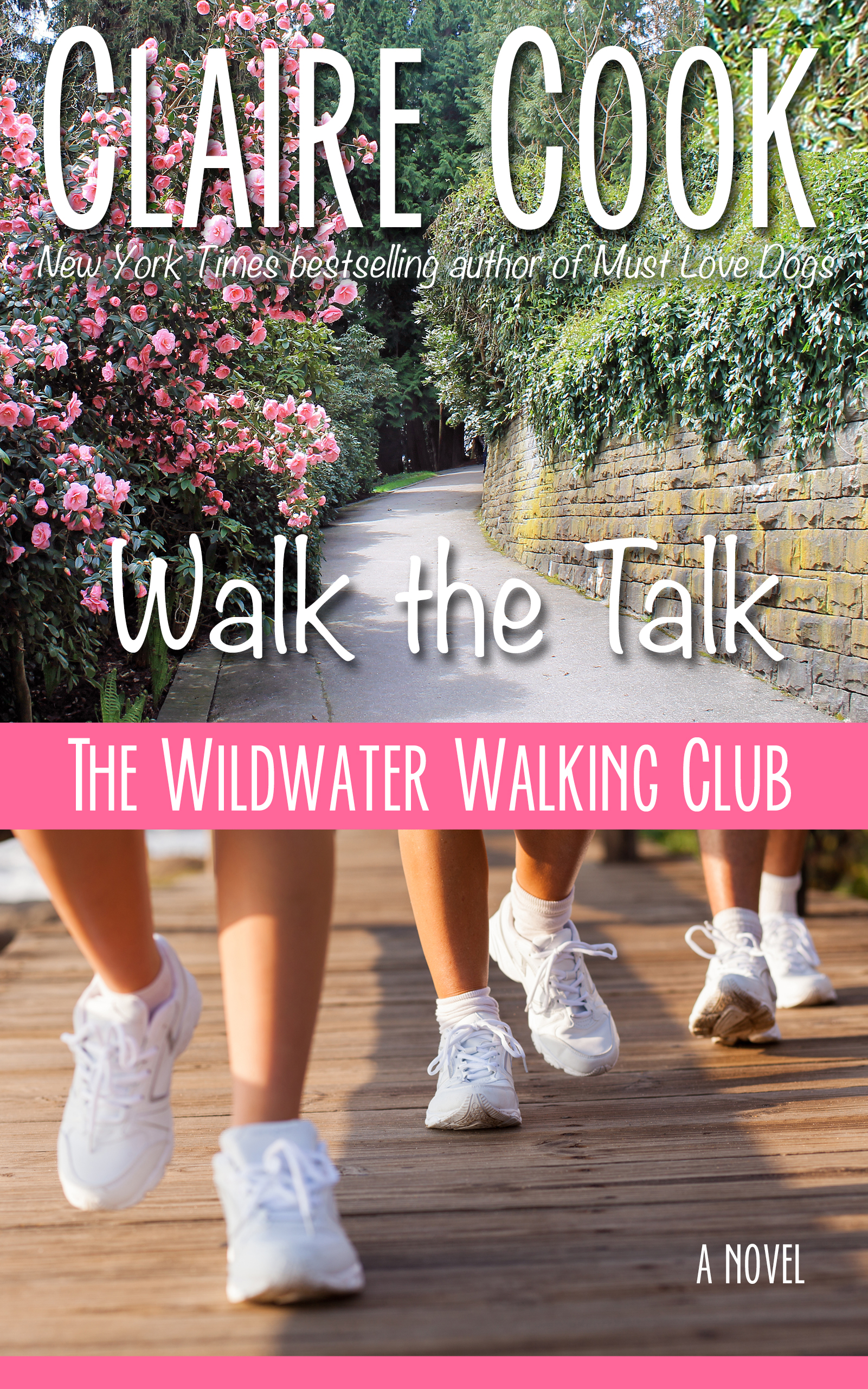 The Wildwater Walking Club book cover