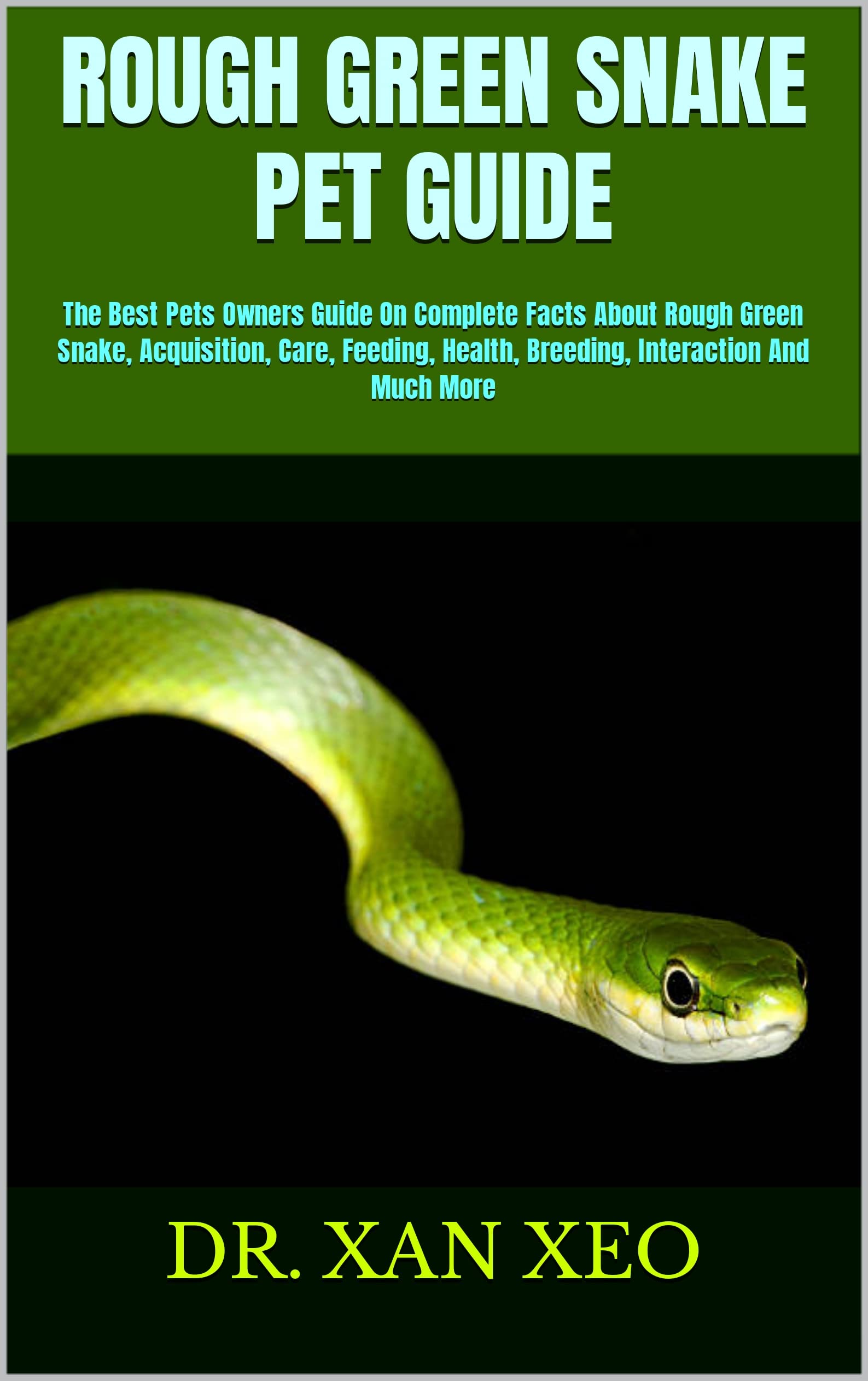 ROUGH GREEN SNAKE PET GUIDE The Best Pets Owners Guide On Complete