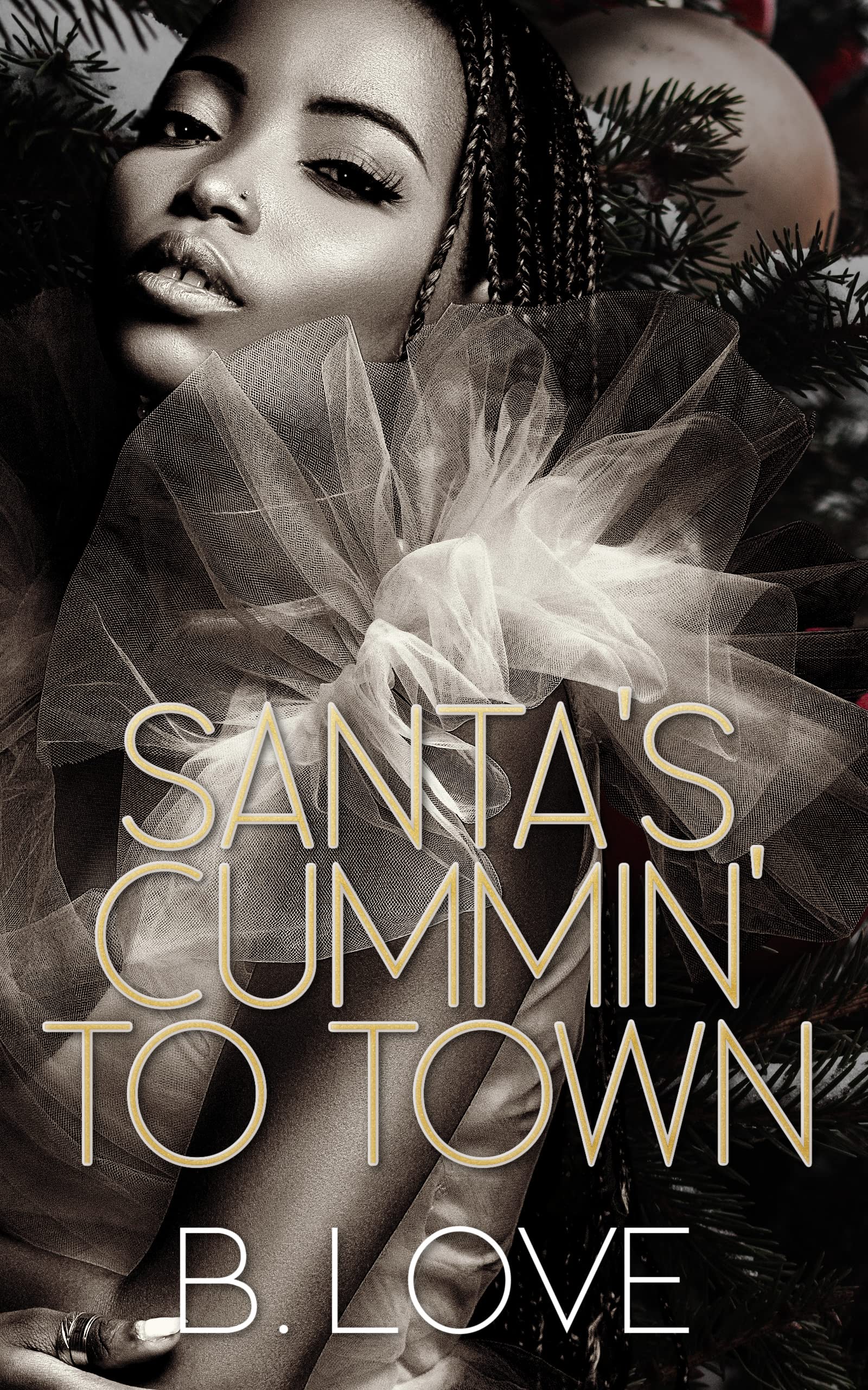 Santa's Cummin' to Town book cover