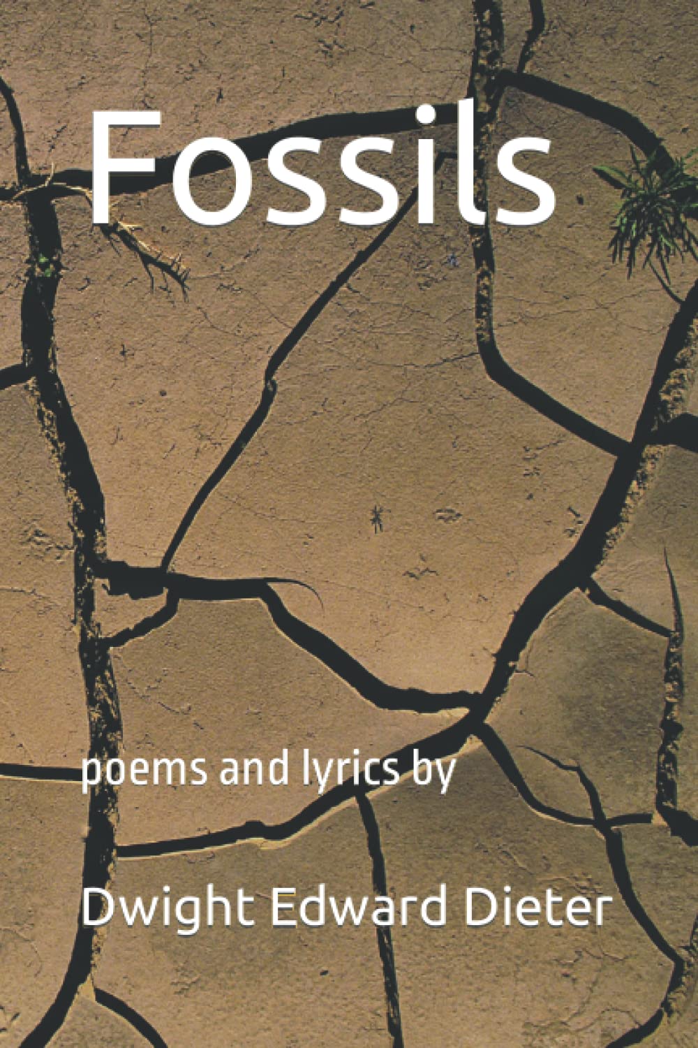 Fossils poems and lyrics by by Dwight Edward Dieter Goodreads