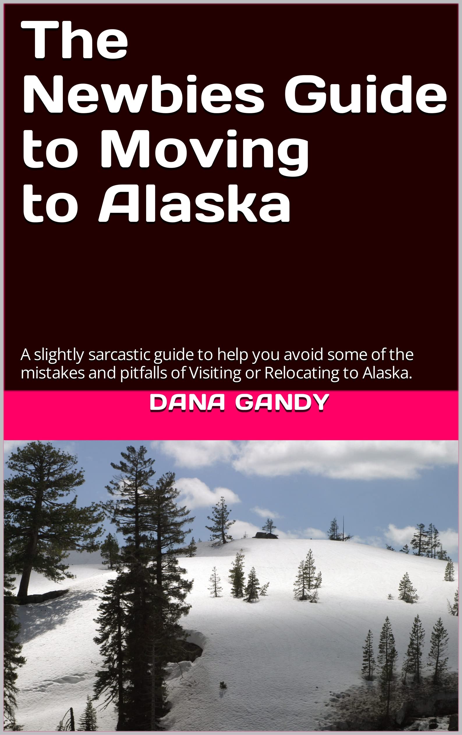 The Newbies Guide to Moving to Alaska A slightly tongueincheek