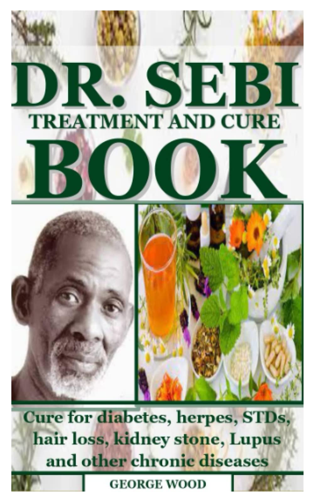 DR SEBI TREATMENT AND CURE BOOK Cure for diabetes, herpes, STDs, hair