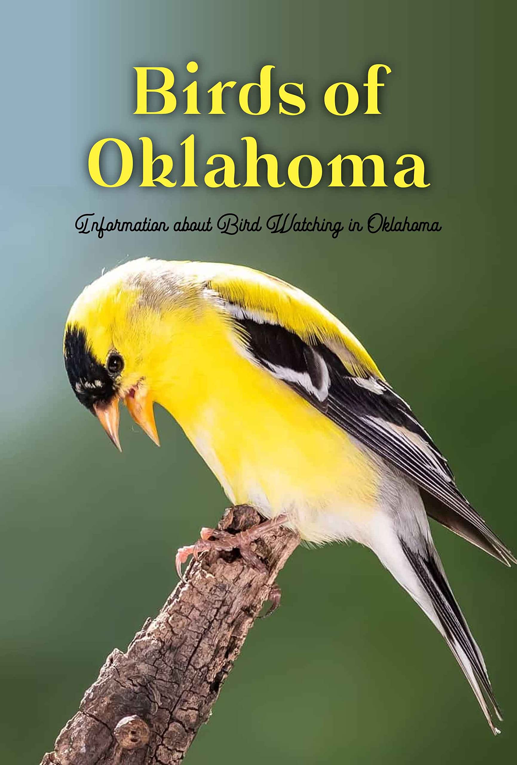 Birds of Oklahoma: Information about Bird Watching in Oklahoma ...