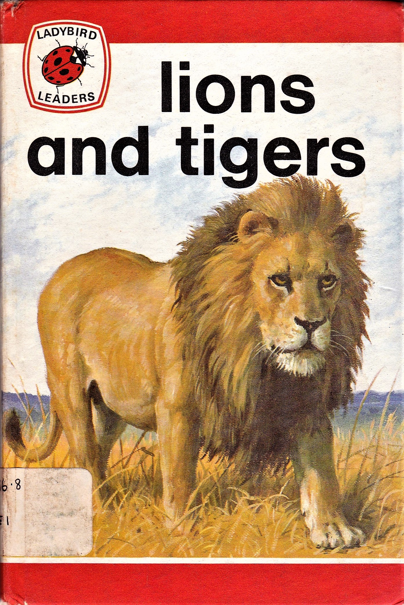 Lions and Tigers book cover