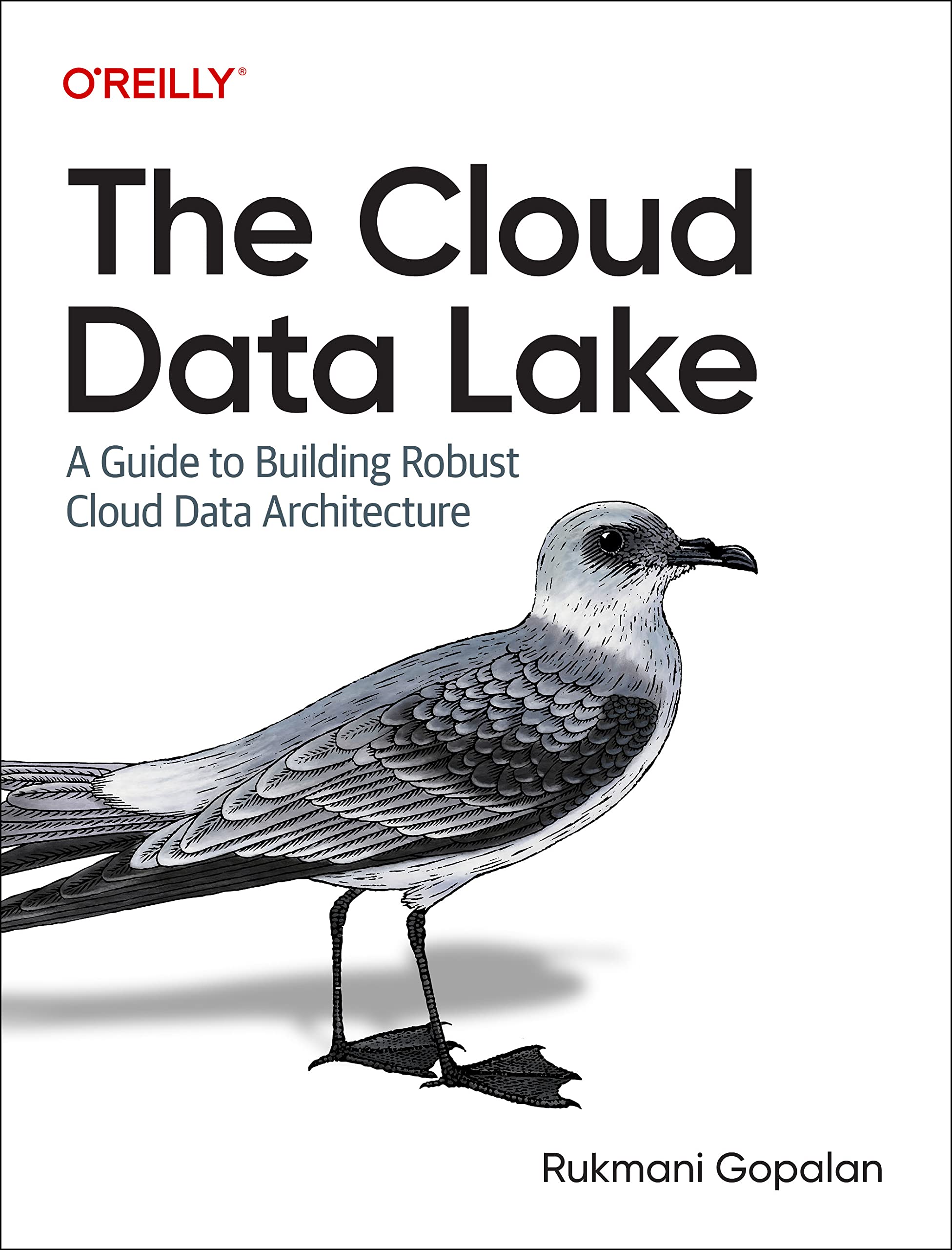 The Cloud Data Lake A Guide to Building Robust Cloud Data Architecture