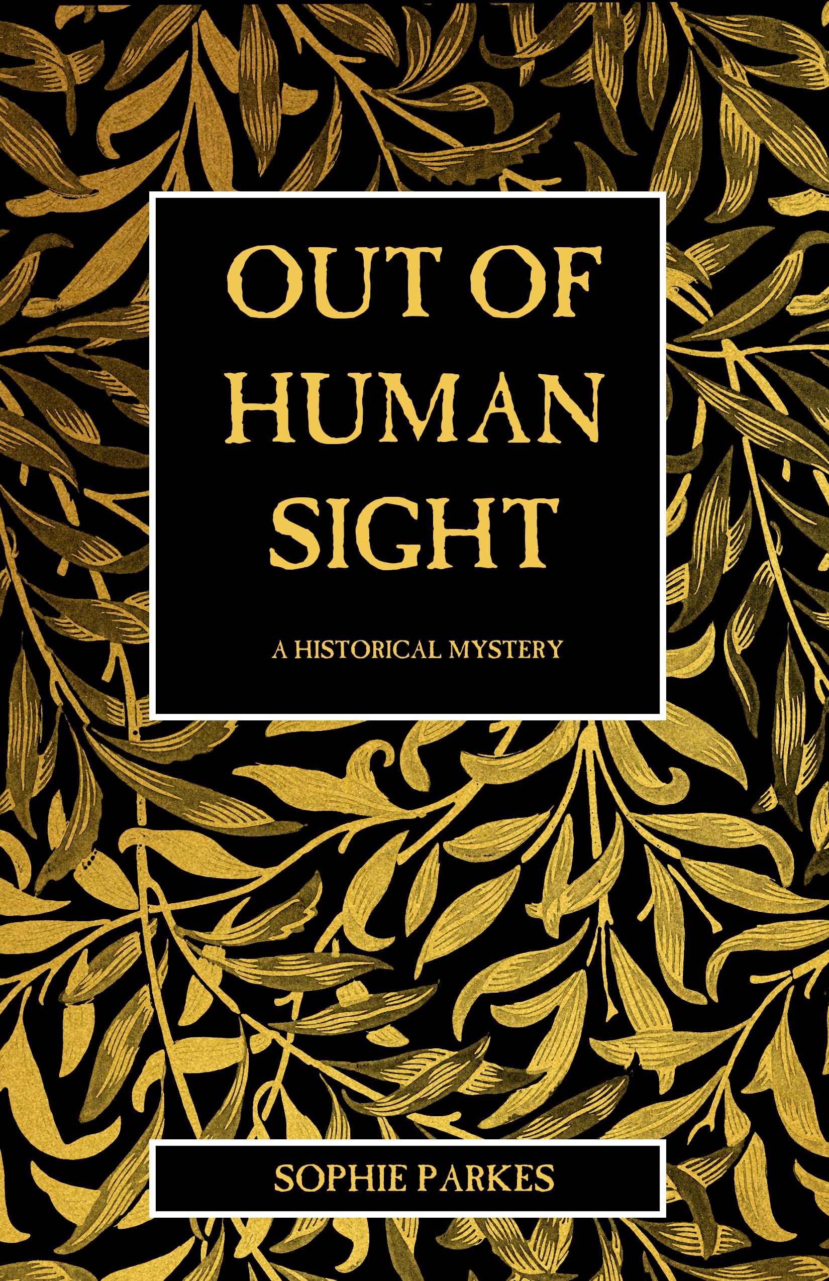 Out of Human Sight: A Historical Mystery