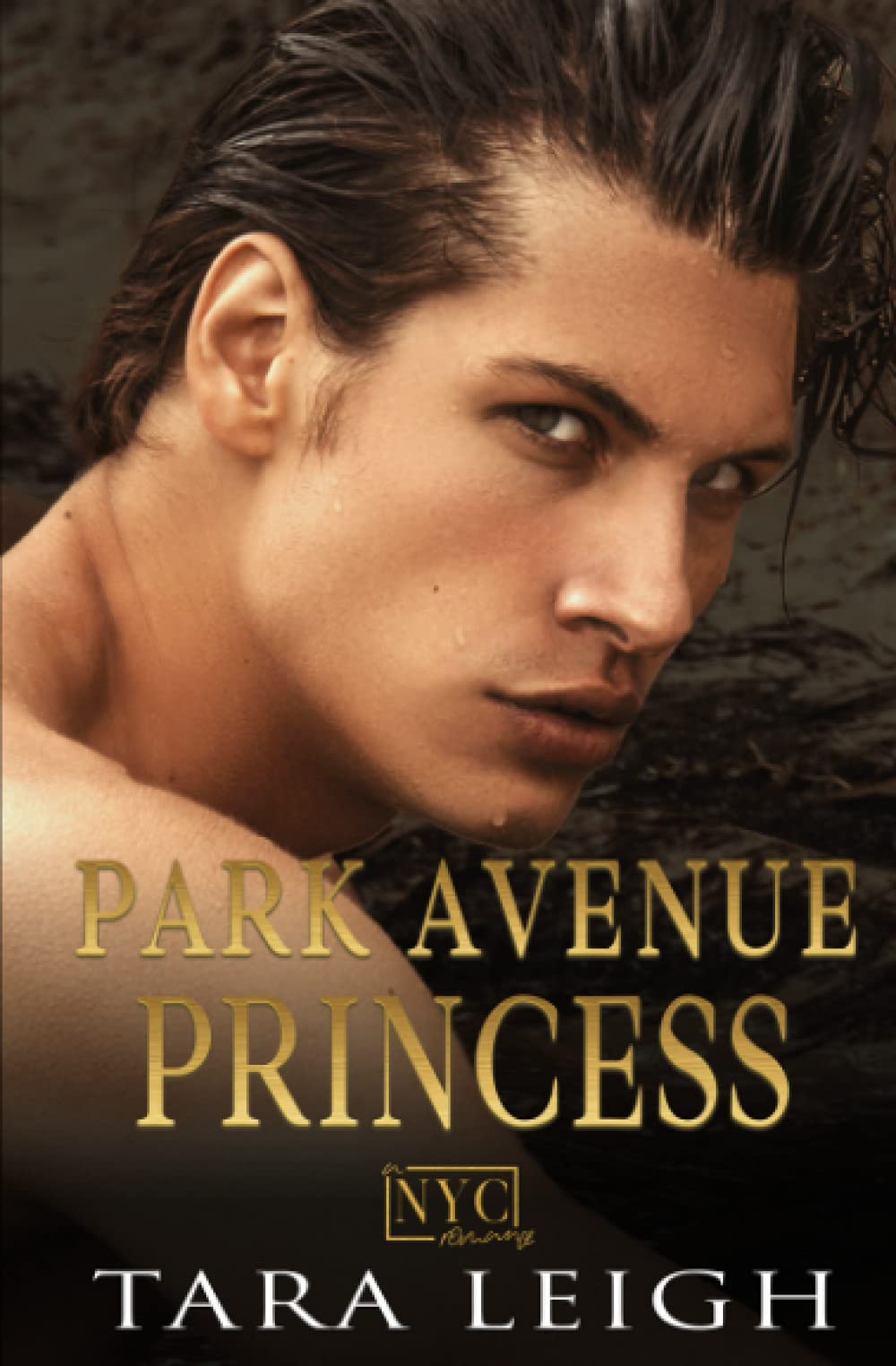 Park Avenue Princess A New York City Romance by Tara Leigh Goodreads