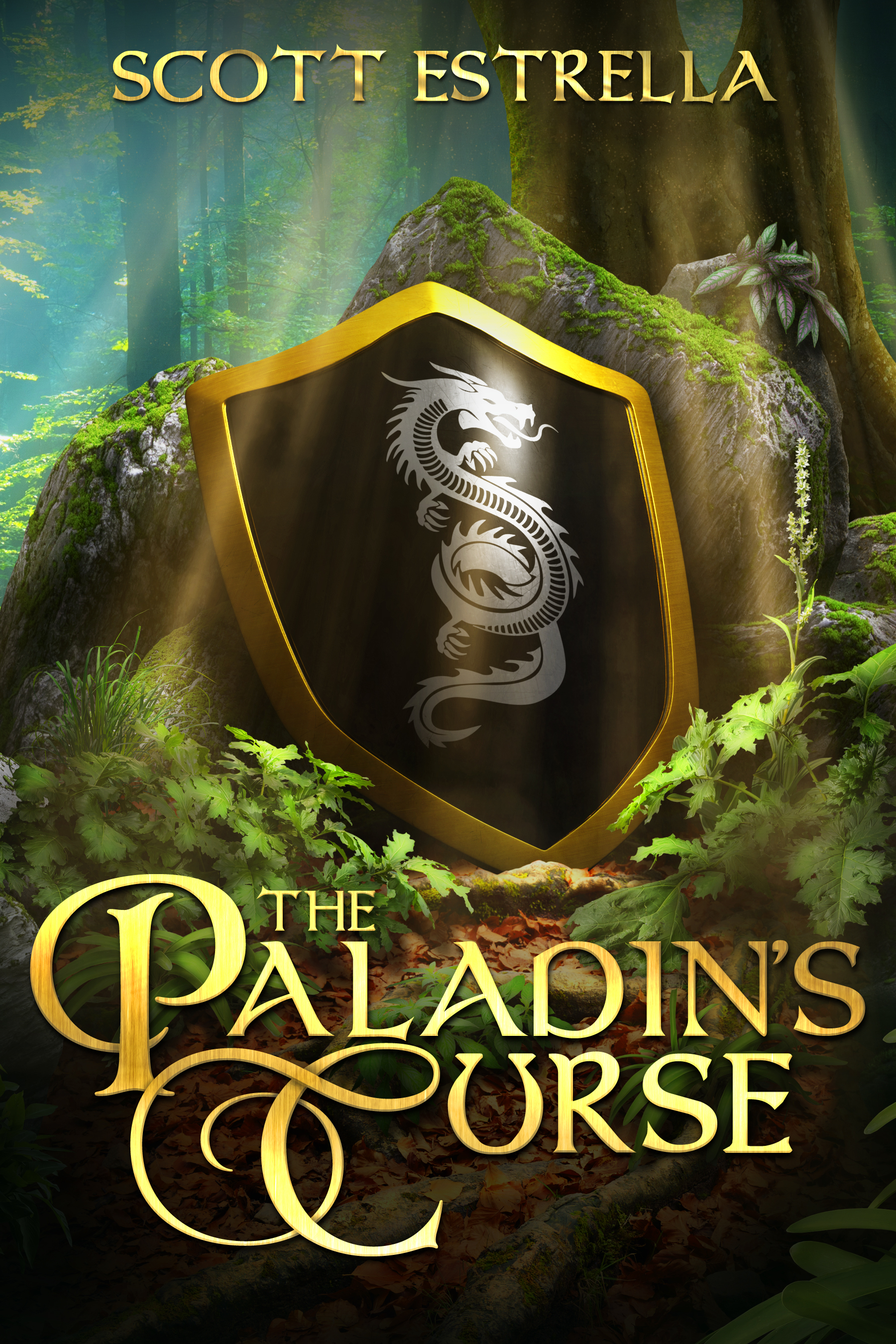 The Paladin's Curse