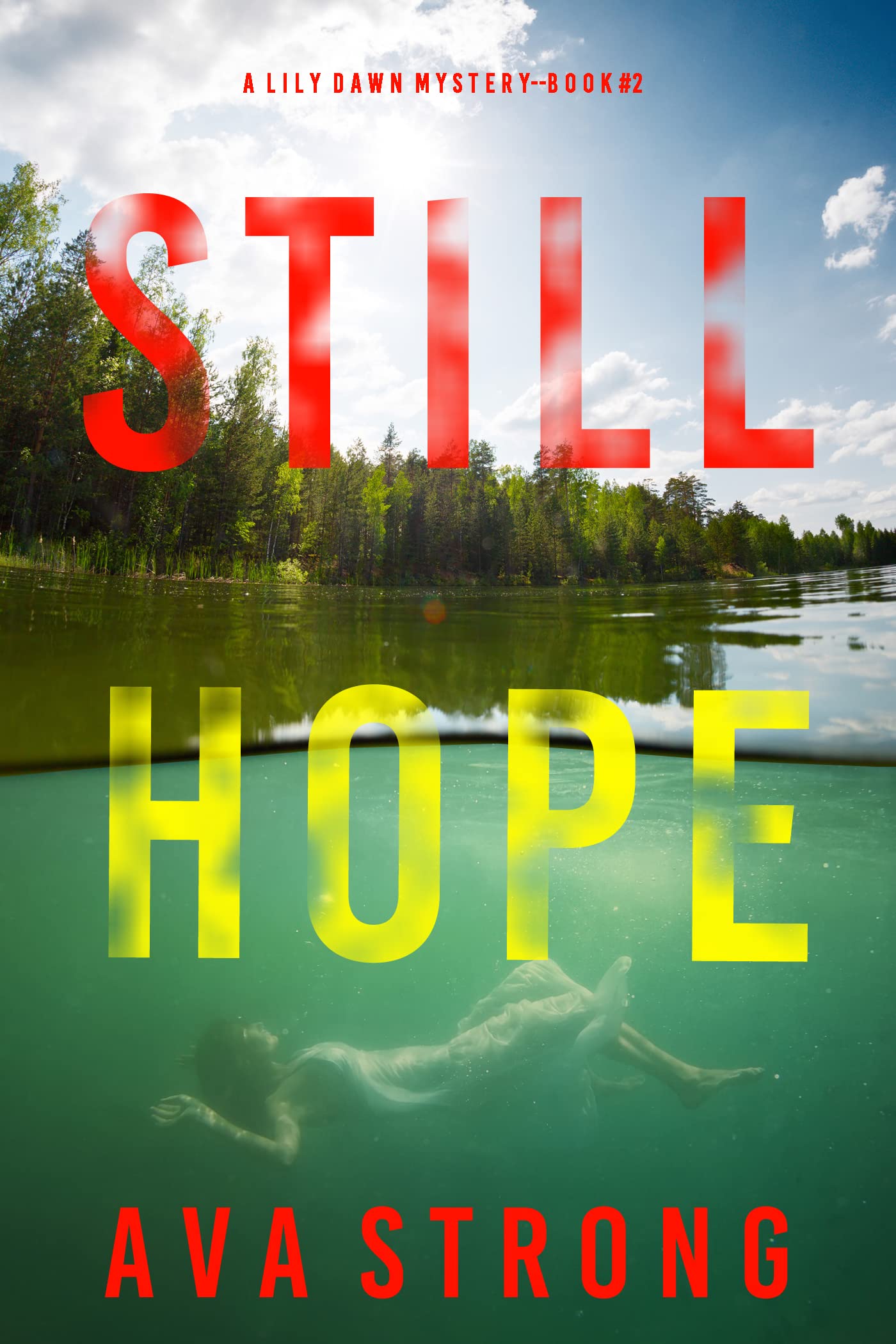 A Lily Dawn FBI Suspense Thriller book cover 2
