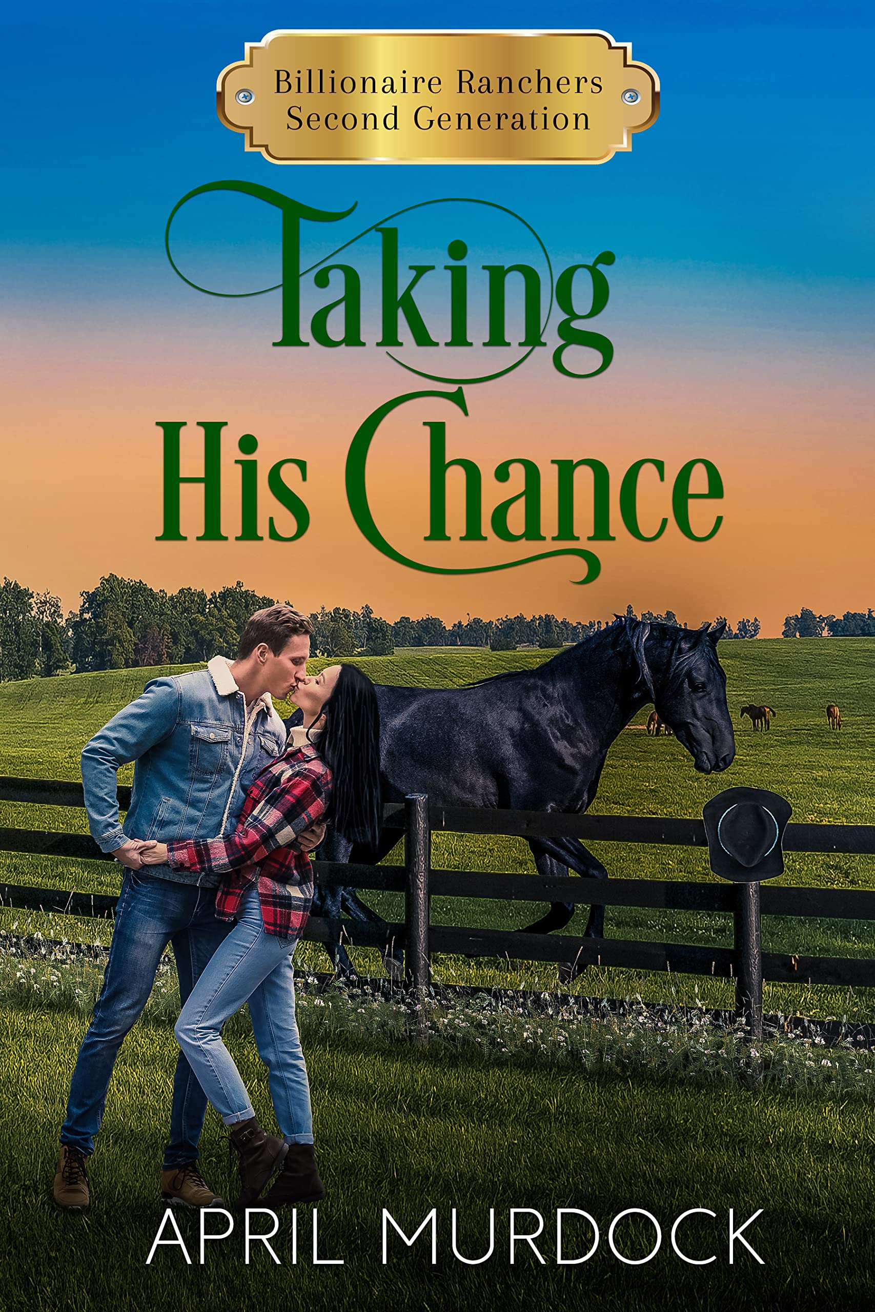 Taking His Chance book cover