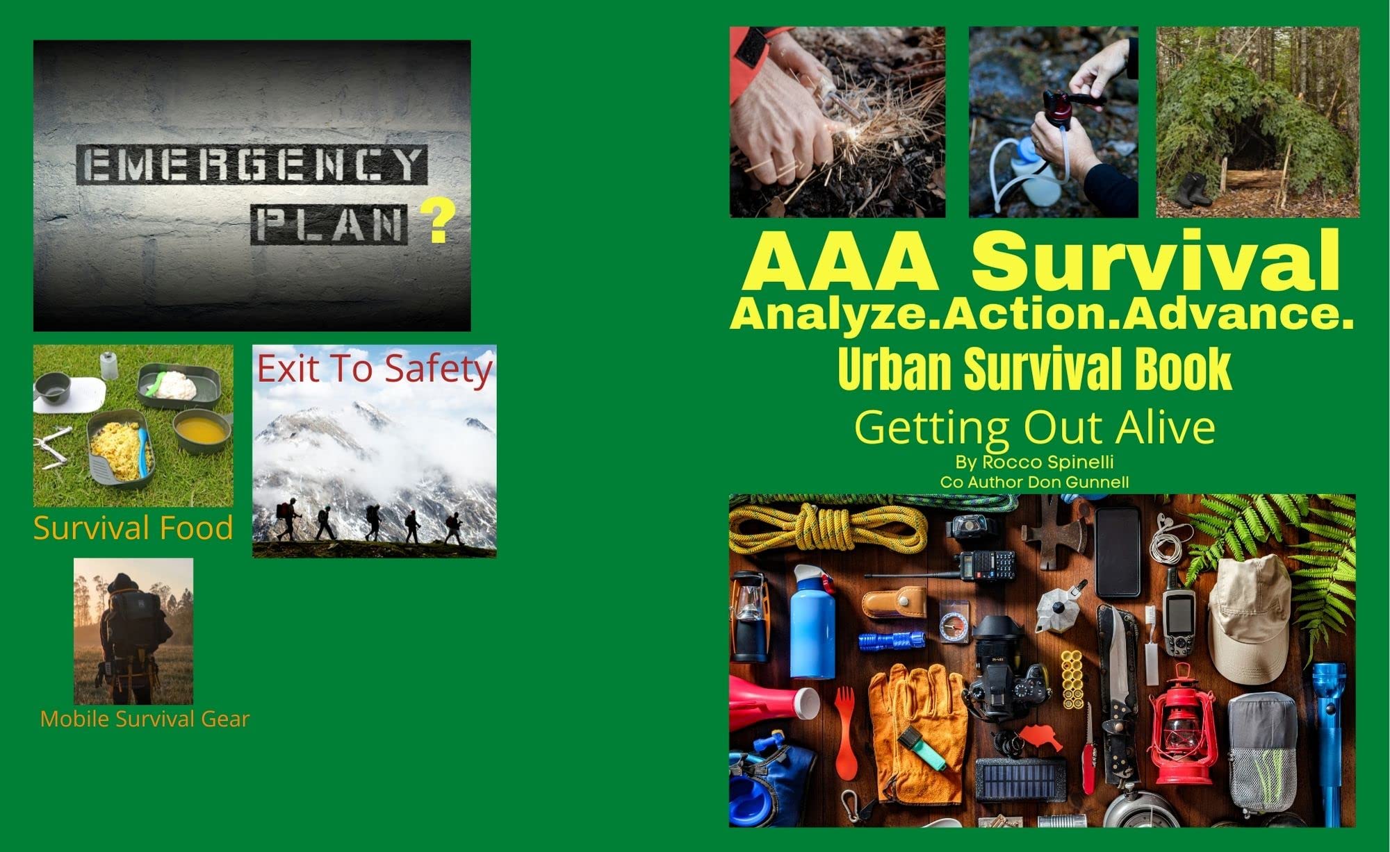 aaa-survival-analyze-action-advance-life-saving-emergency-plan-to