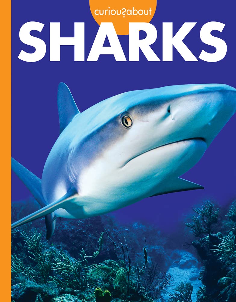 Curious About Sharks book cover