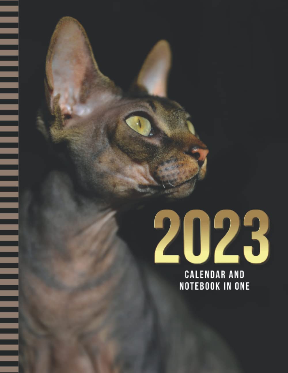 2023-calendar-and-notebook-in-one-8-5x11-dated-monthly-planner-with