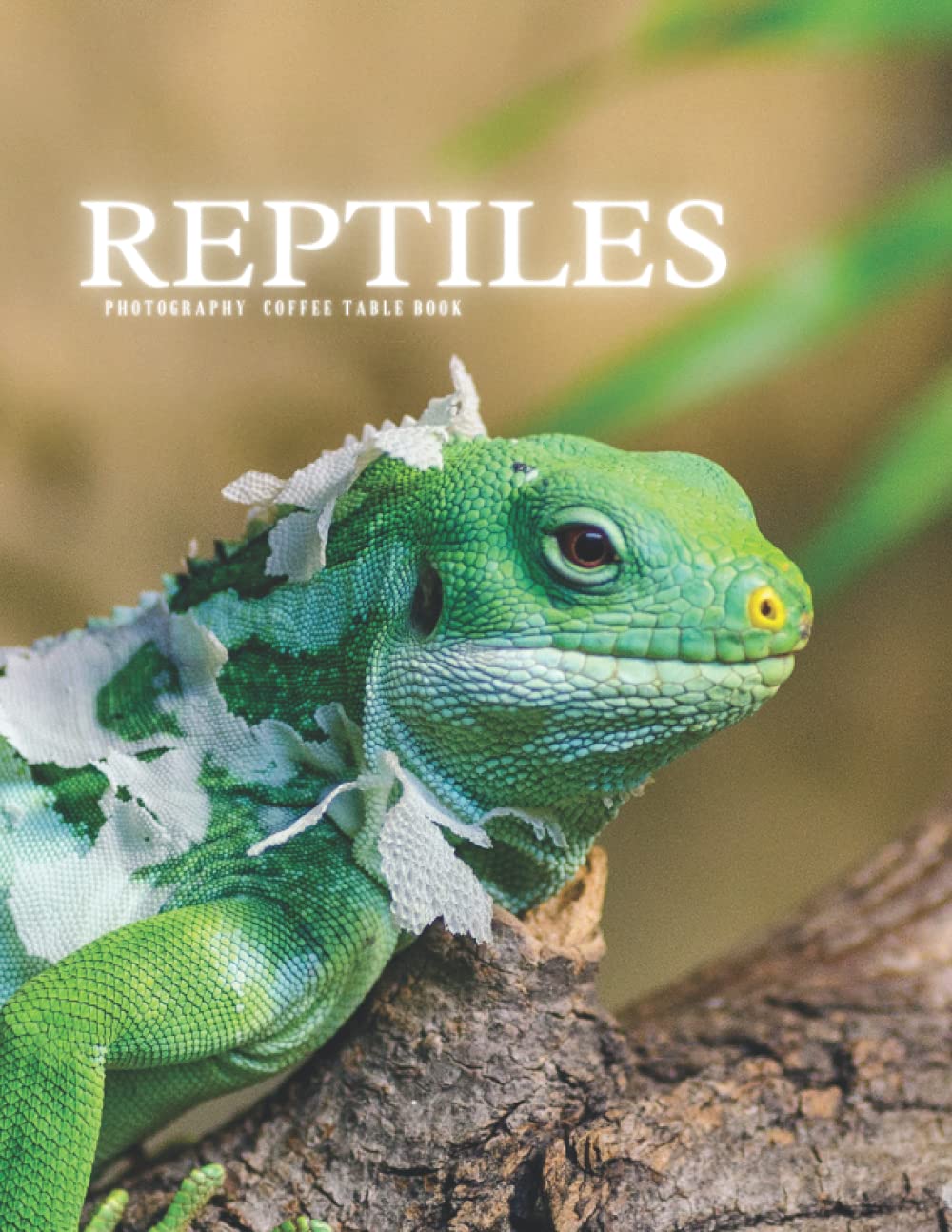 Reptiles Photography Coffee Table Book Beautiful Pictures For Relaxing