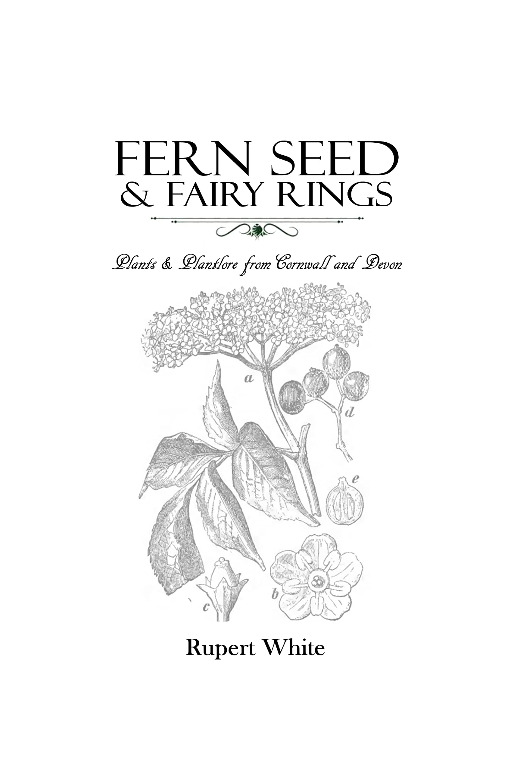 Fern Seed & Fairy Rings Plants and Plantlore from Cornwall and Devon
