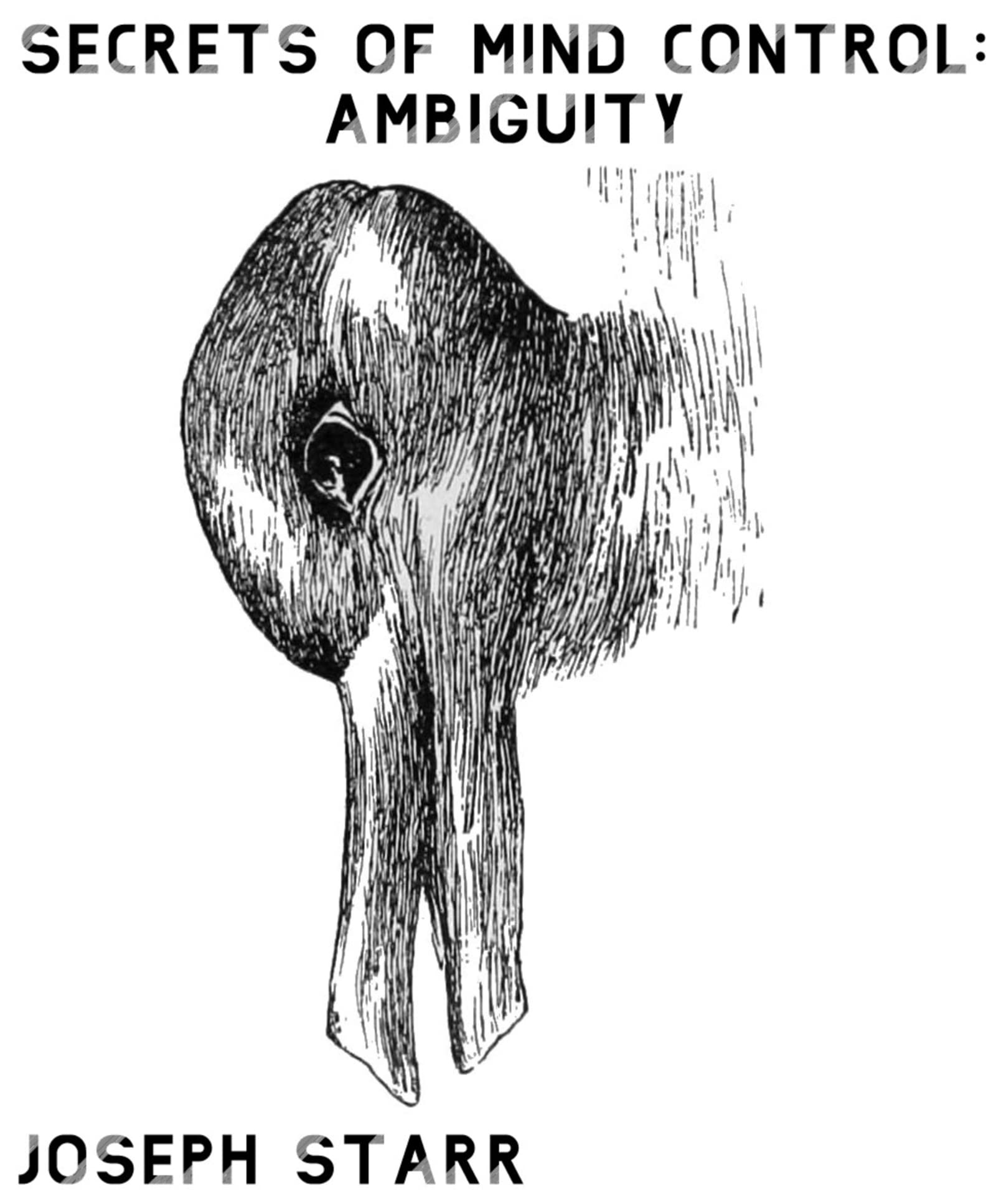 Secrets Of Mind Control Ambiguity By Joseph Starr Goodreads secrets-of-mind-control-ambiguity-by-joseph-starr-goodreads