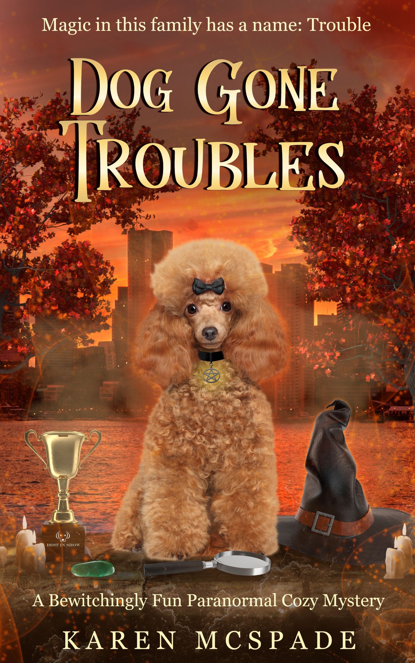 Dog Gone Troubles