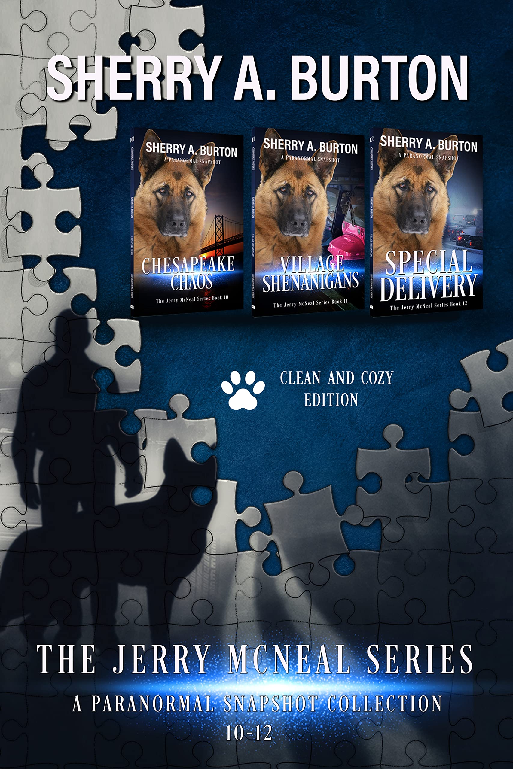 The Jerry McNeal Series, a Paranormal Snapshot Collection Volume 4: (Books 10-12) Chesapeake Chaos, Village Shenanigans, Special Delivery