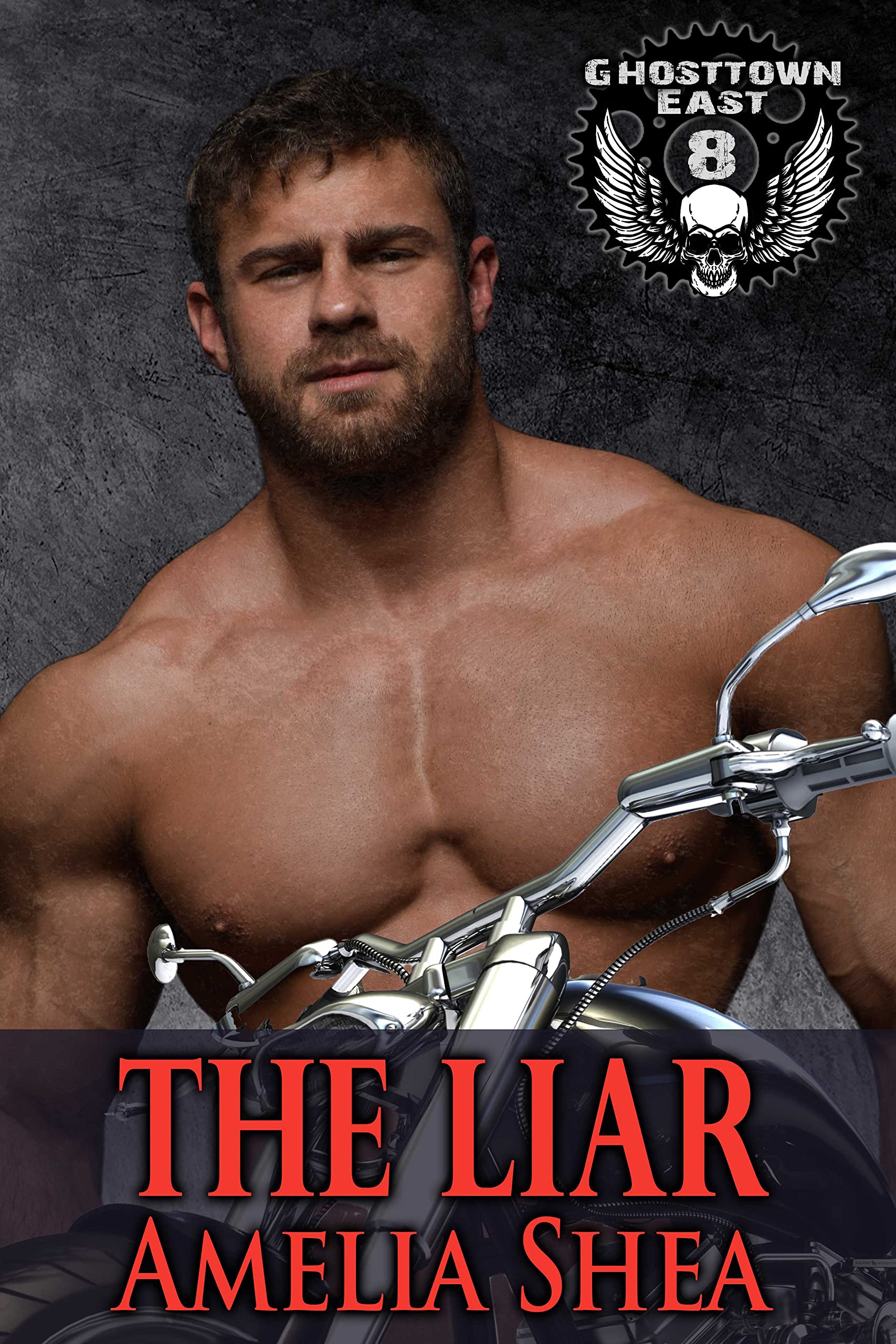 The Liar book cover