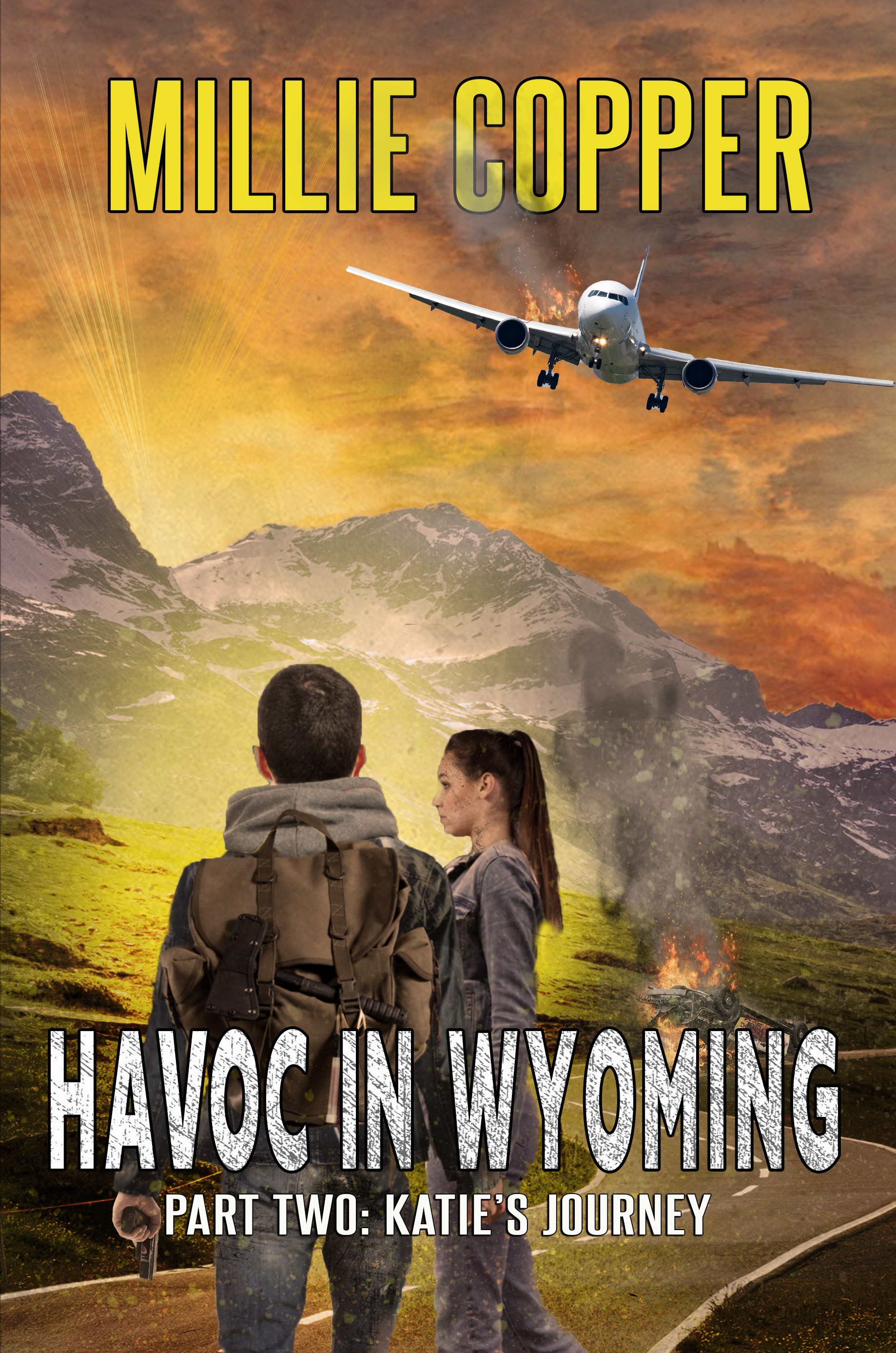 Havoc in Wyoming book cover 2