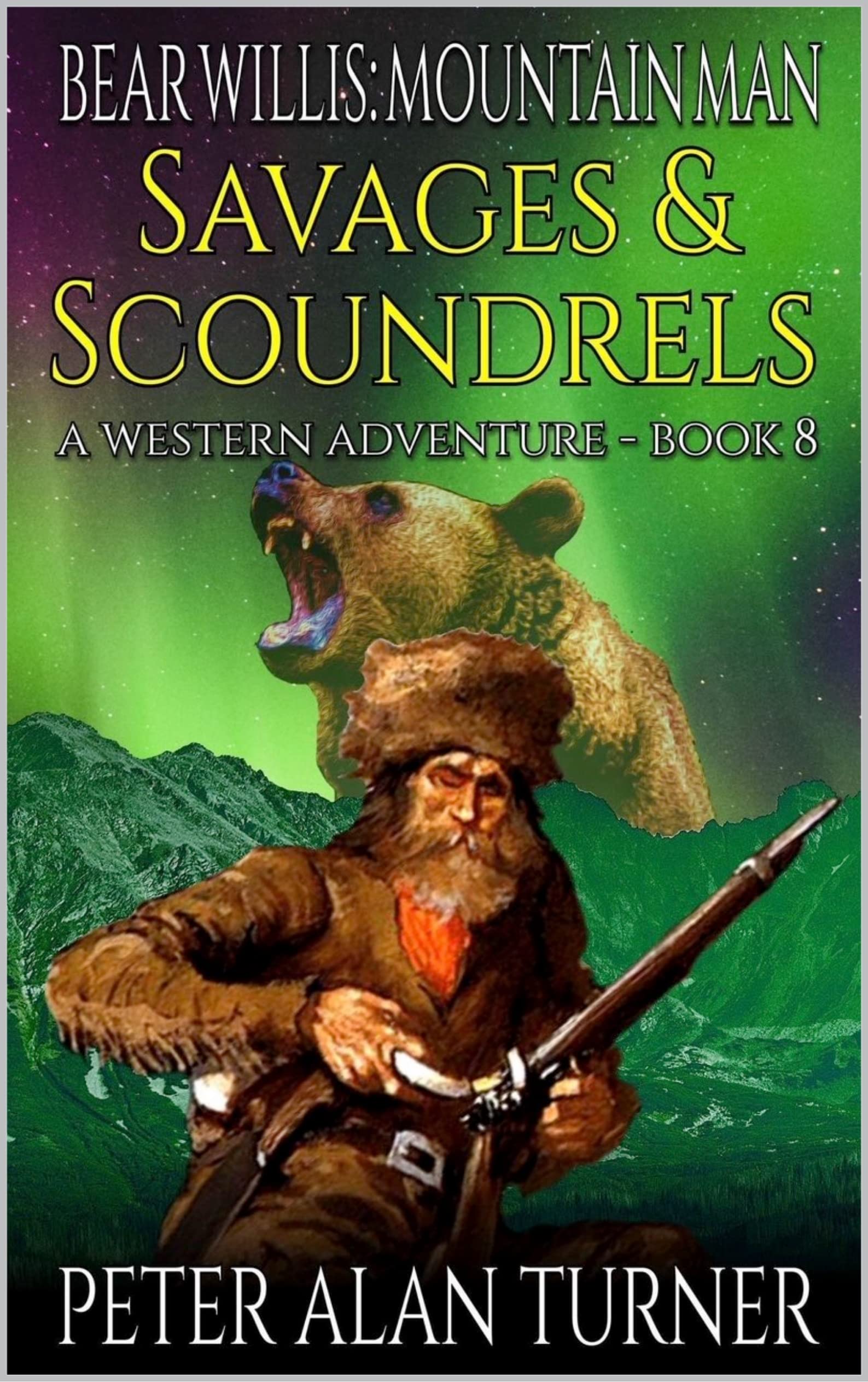 Bear Willis book cover