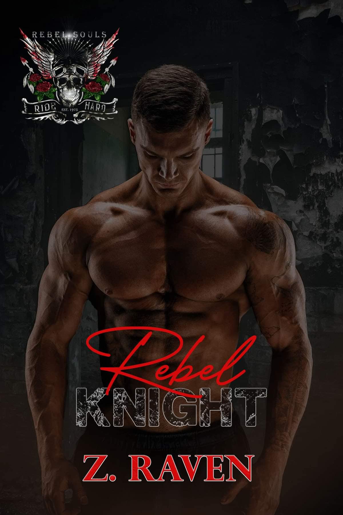 Rebel Knight: A World of Rebel Souls Novel