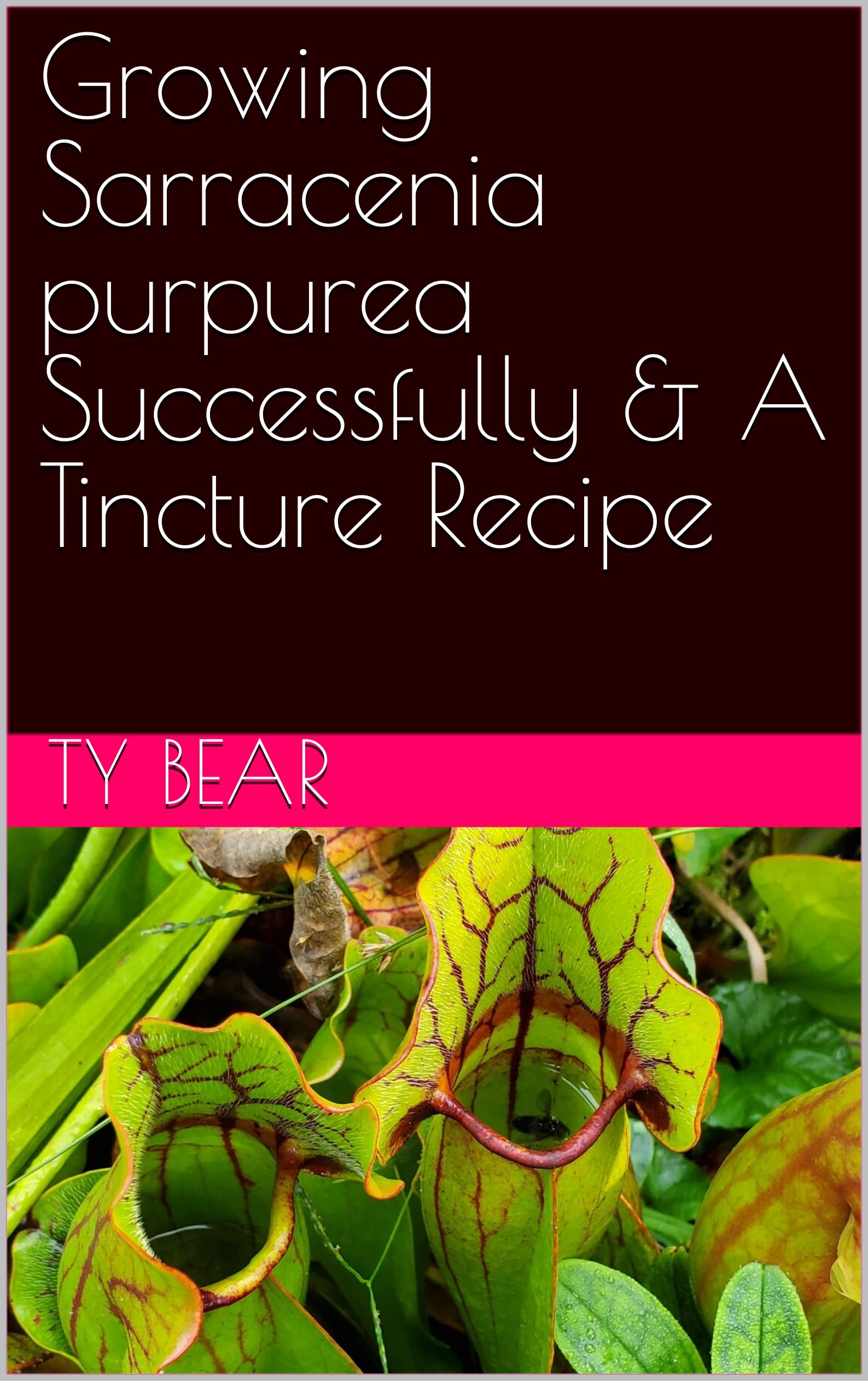 Sarracenia Purpurea Tincture Recipe Find Vegetarian Recipes