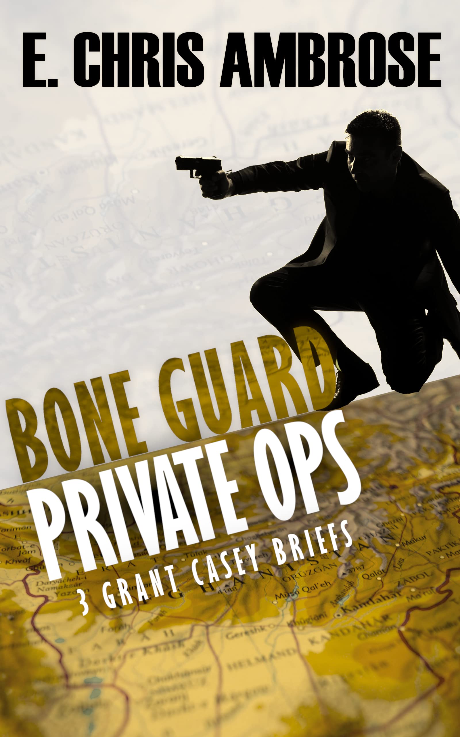 Private Ops book cover