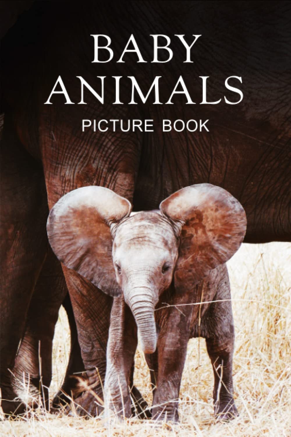 Baby Animals Picture Book for Seniors with Dementia and Alzheimer's by
