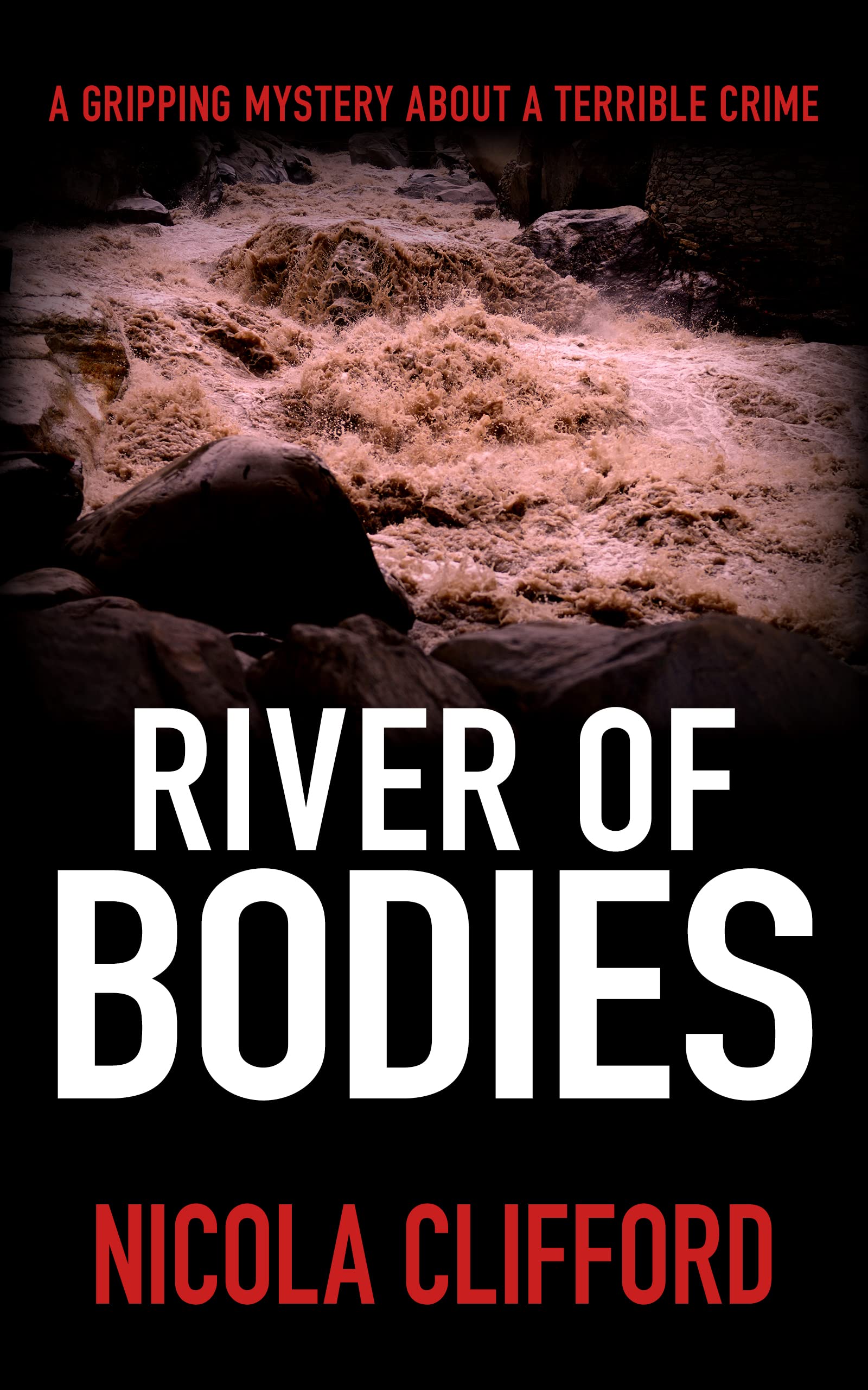 River of Bodies: A gripping mystery about a terrible crime
