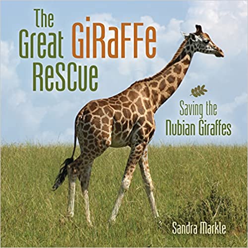 The Great Giraffe Rescue: Saving the Nubian Giraffes by Sandra Markle ...