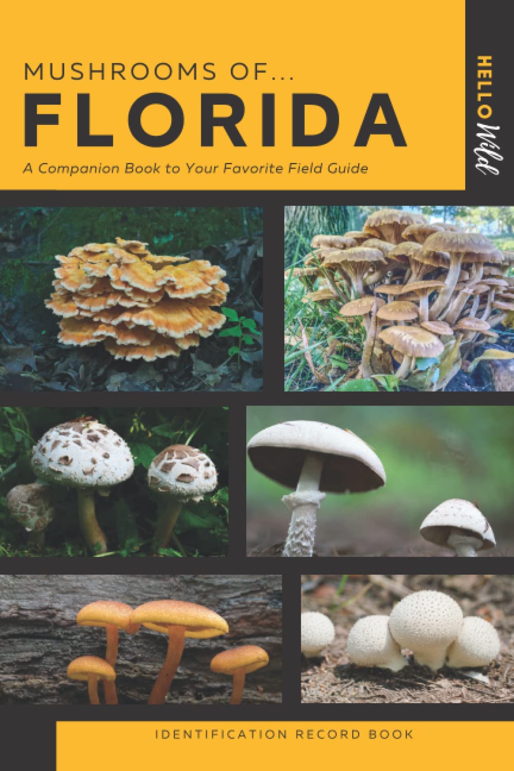 Mushrooms of Florida Identification Record Book Keep Track of Mushroom