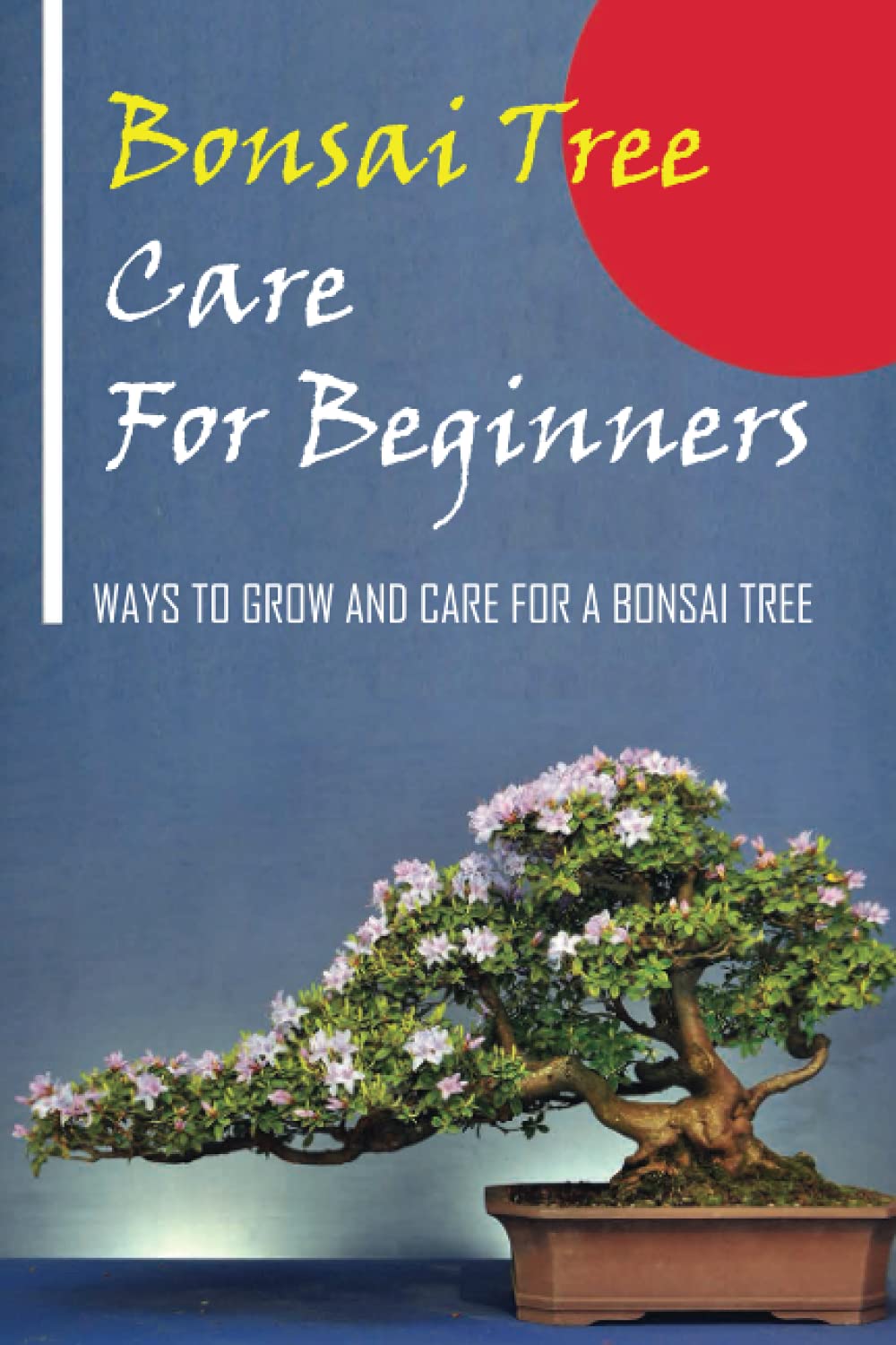 Bonsai Care Guide Everything You Need To Know On How To Grow And Care