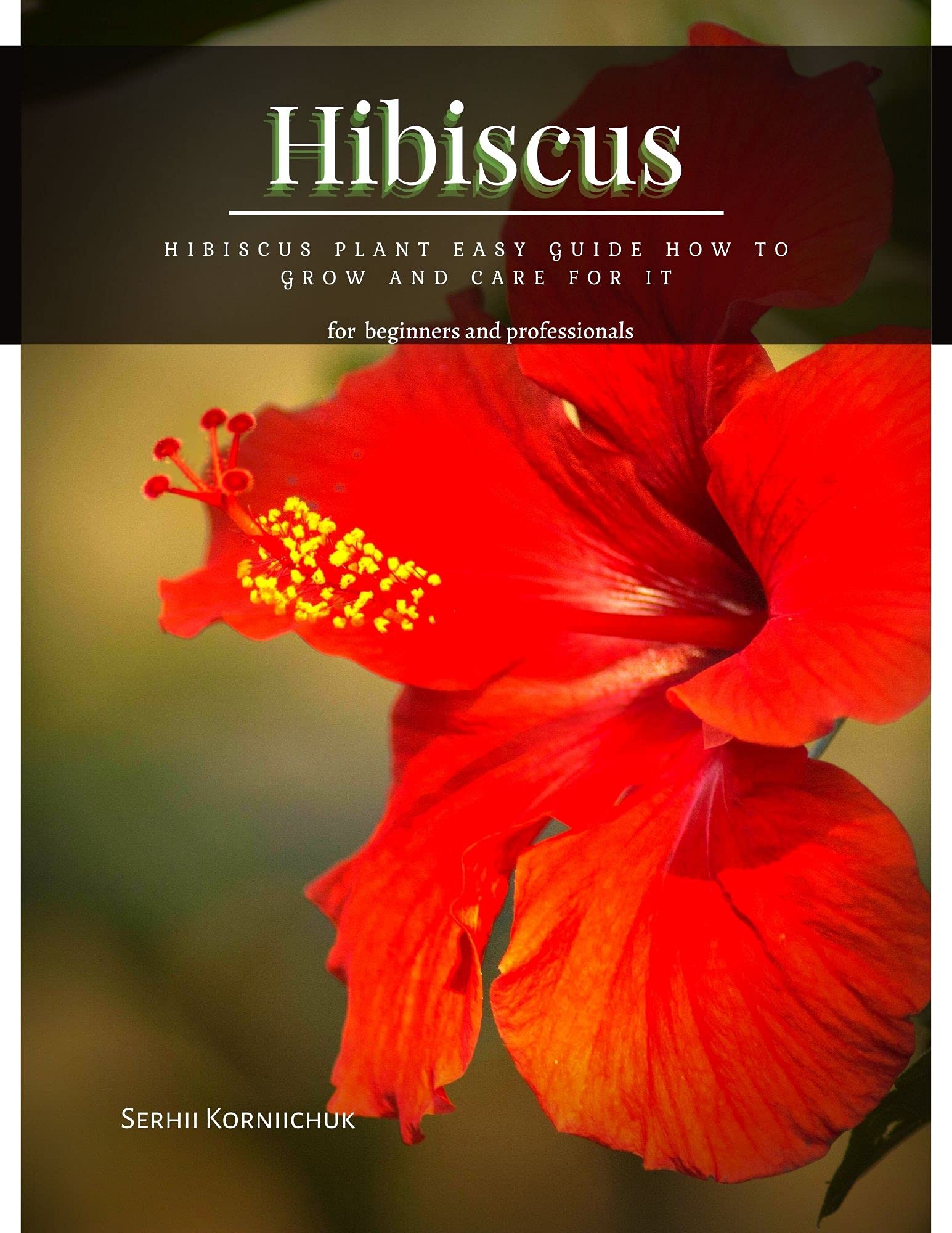 Hibiscus Hibiscus Plant Easy Guide How tо Grow аnd Care for It by
