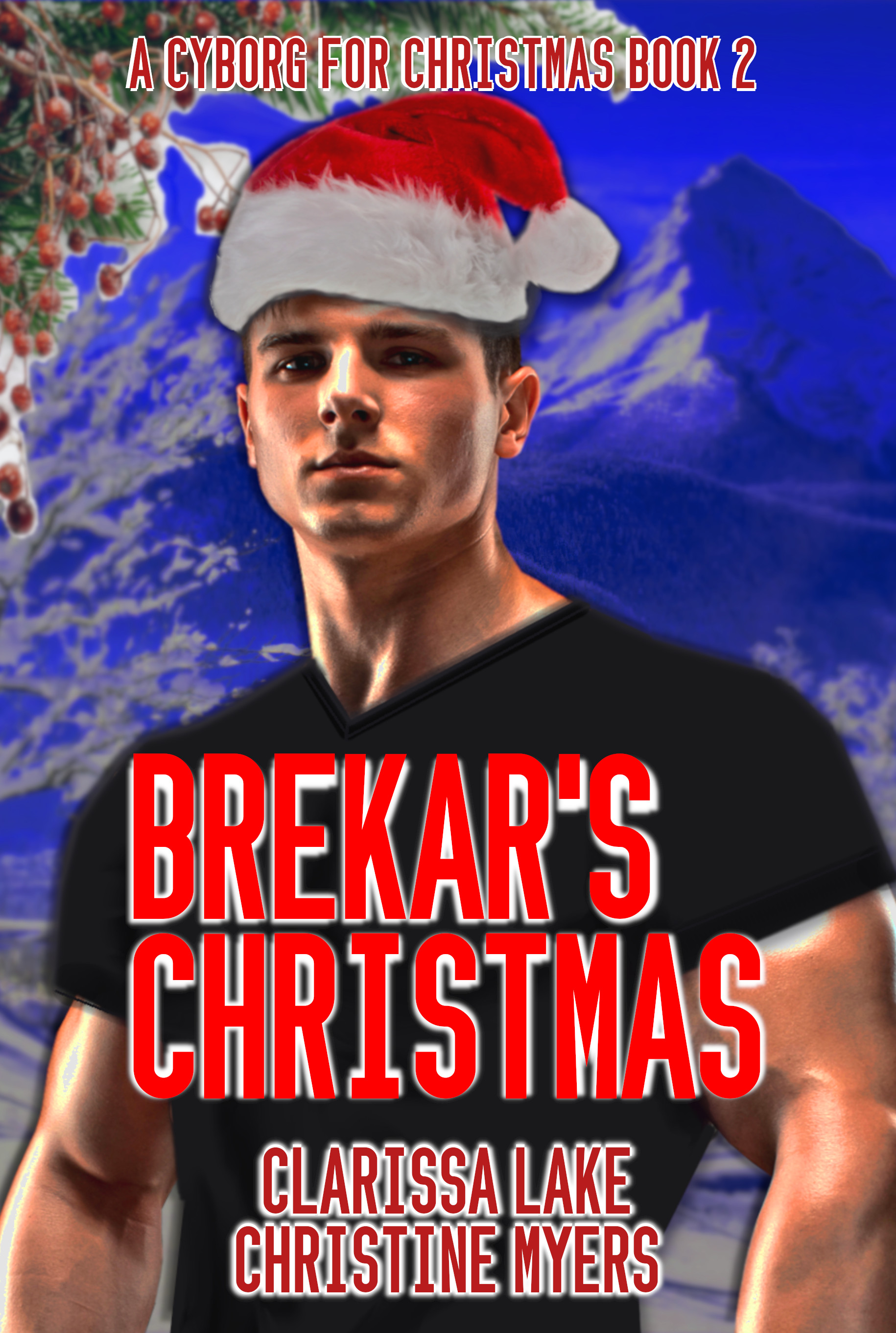 Brekar's Christmas book cover
