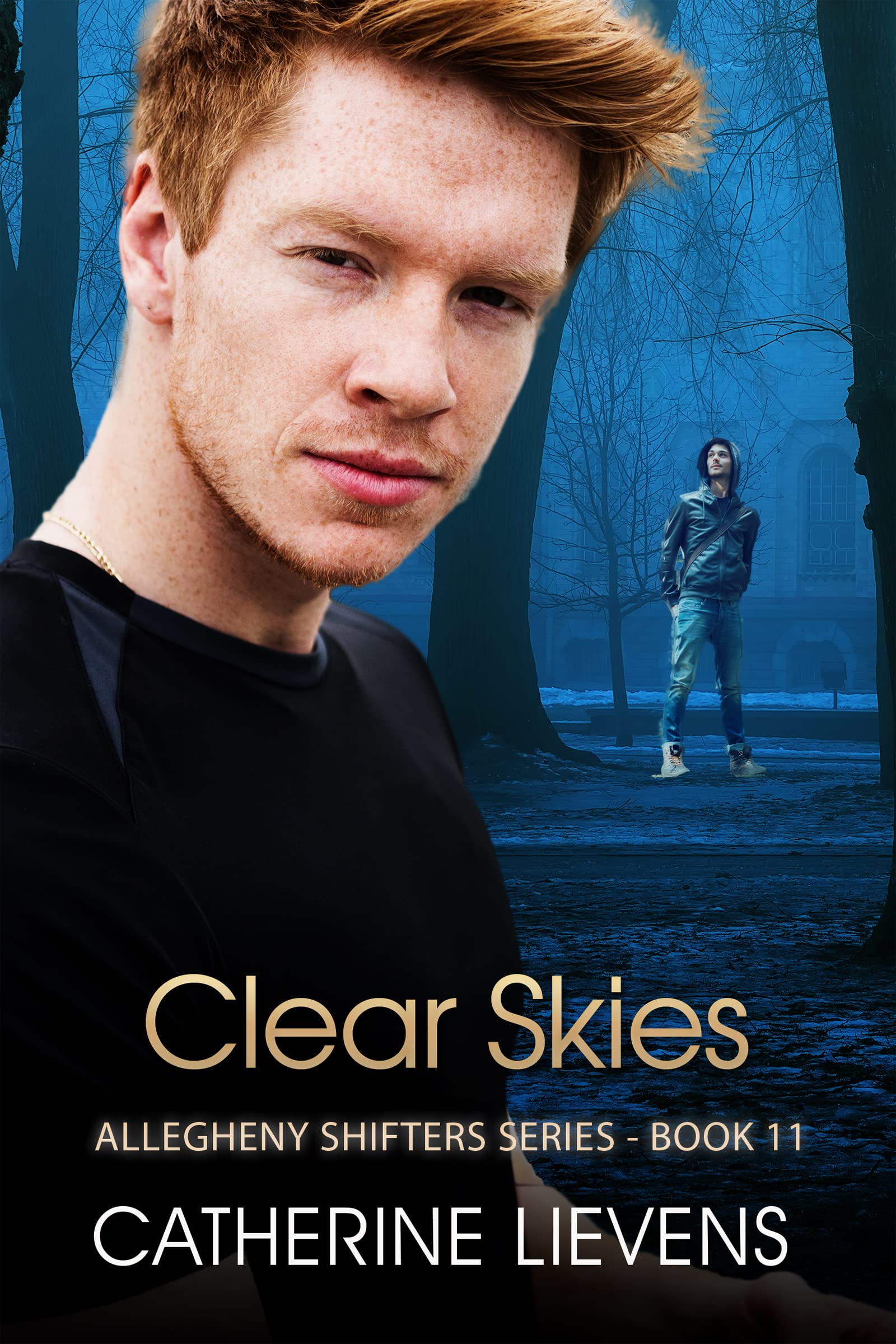 Clear Skies book cover